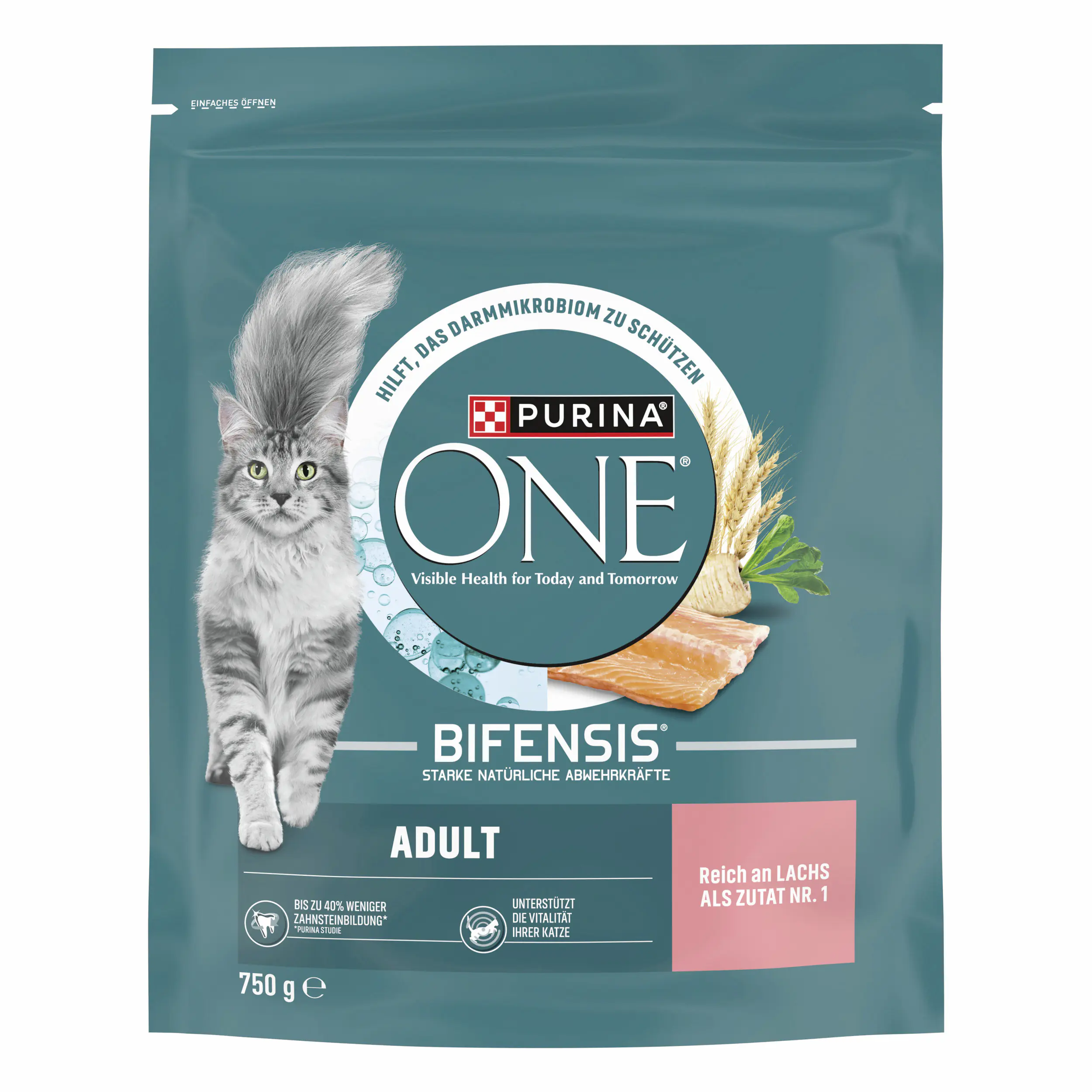Purina ONE Adult reich an Lachs und Vollkorn-Getreide 750 g