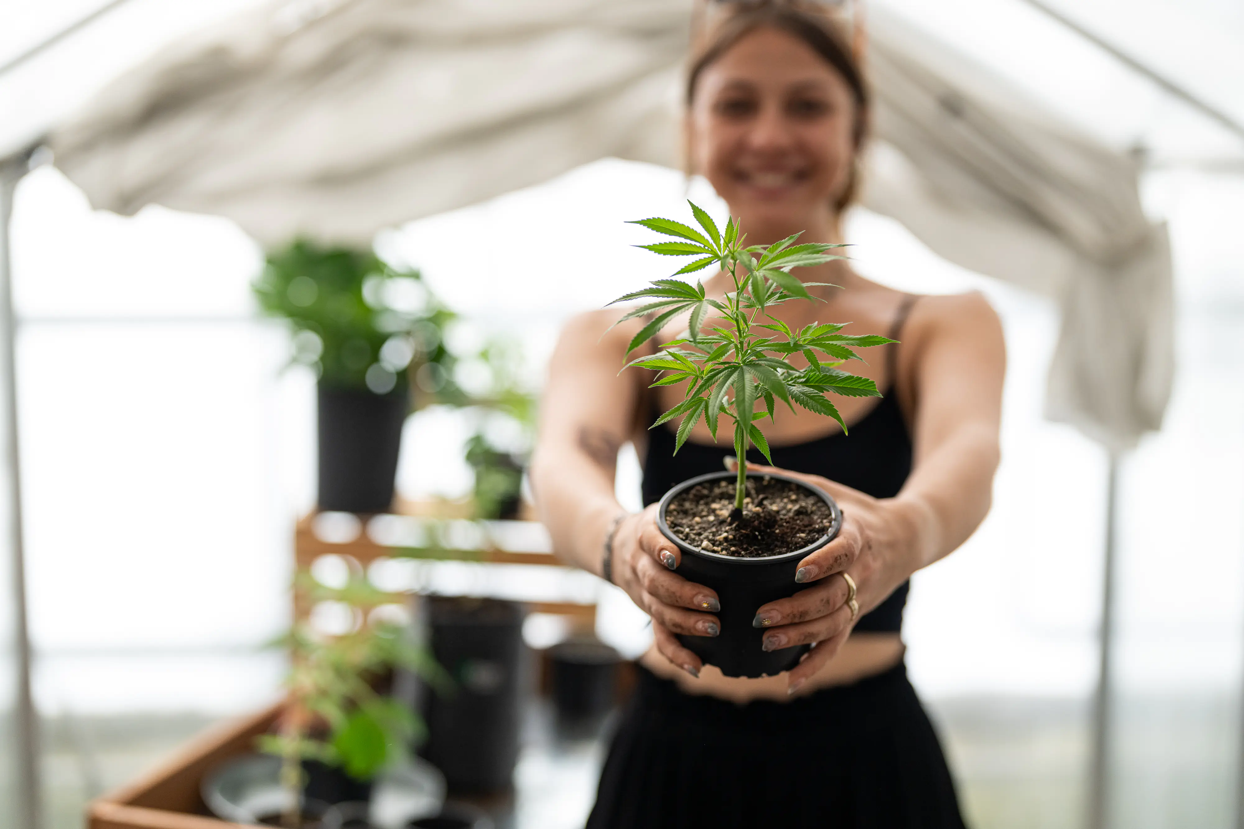 Herbi's Living Soil Grow Starter Biologisch aktiver Naturdünger 1 kg