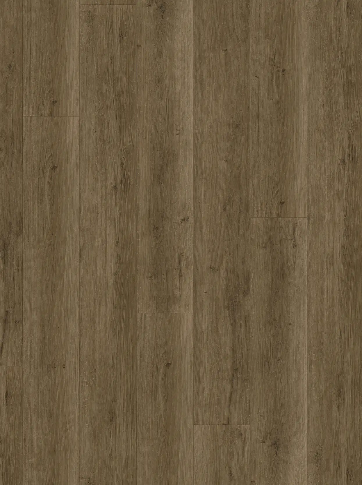 Parador Designboden Modular ONE Eiche Spirit geräuchert Holzstruktur