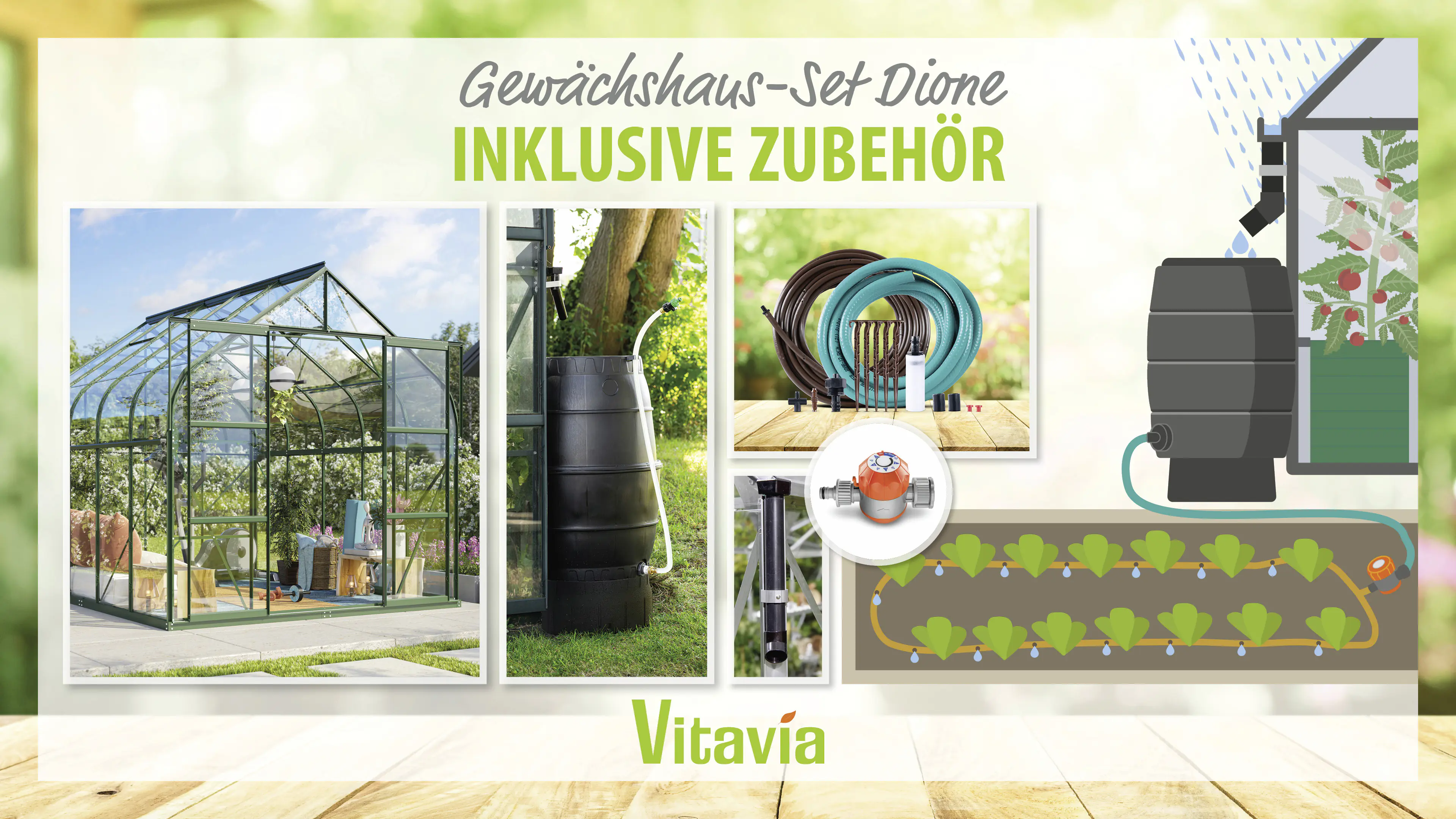 Vitavia Gewächshaus-Set Dione 8300 ESG 3 mm smaragd 254 x 317 cm 