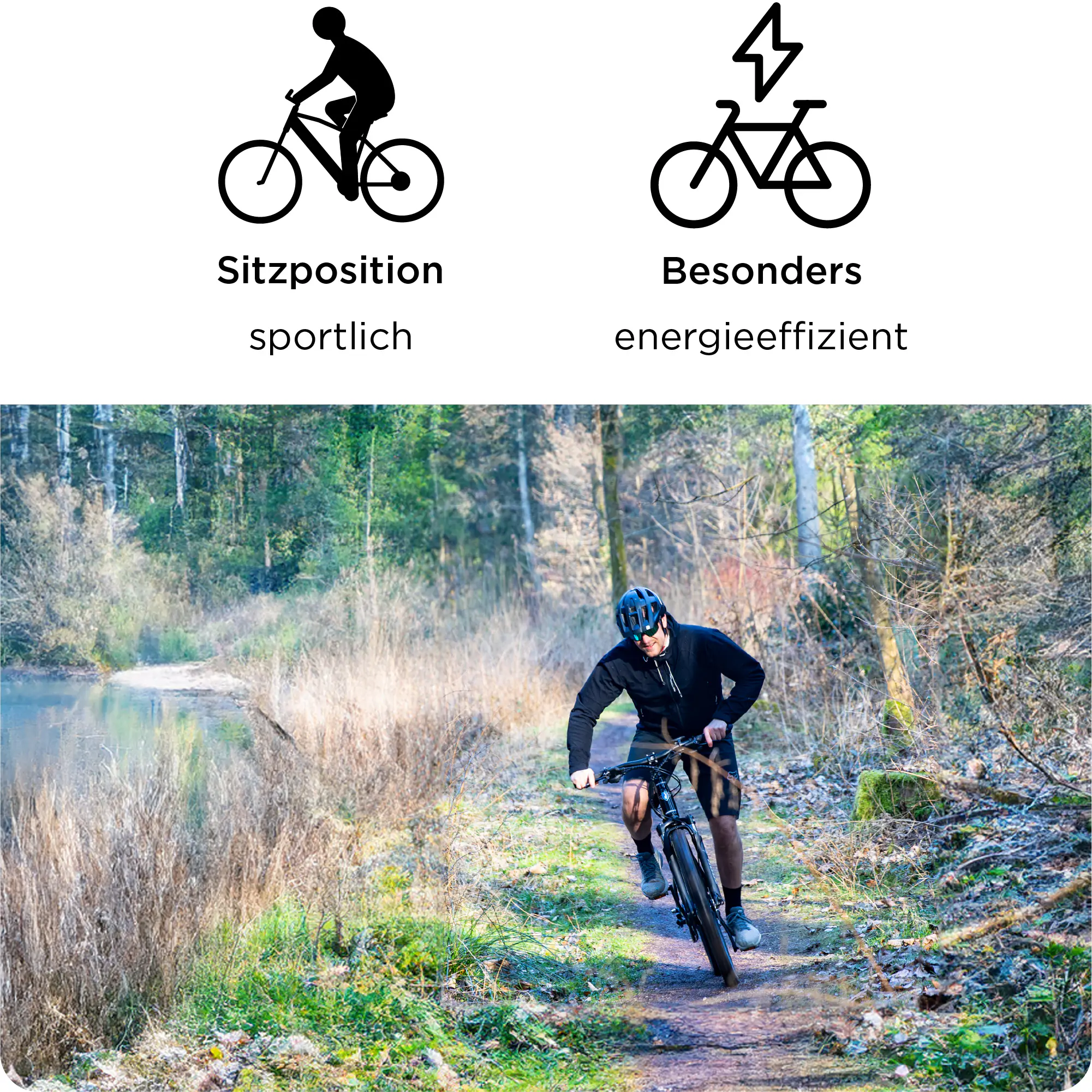 Zündapp E-Bike MTB X1000 29 Zoll 10-Gang 733 Wh schwarz Zündapp E-Bike MTB X1000 29 Zoll 10-Gang 733 Wh schwarz