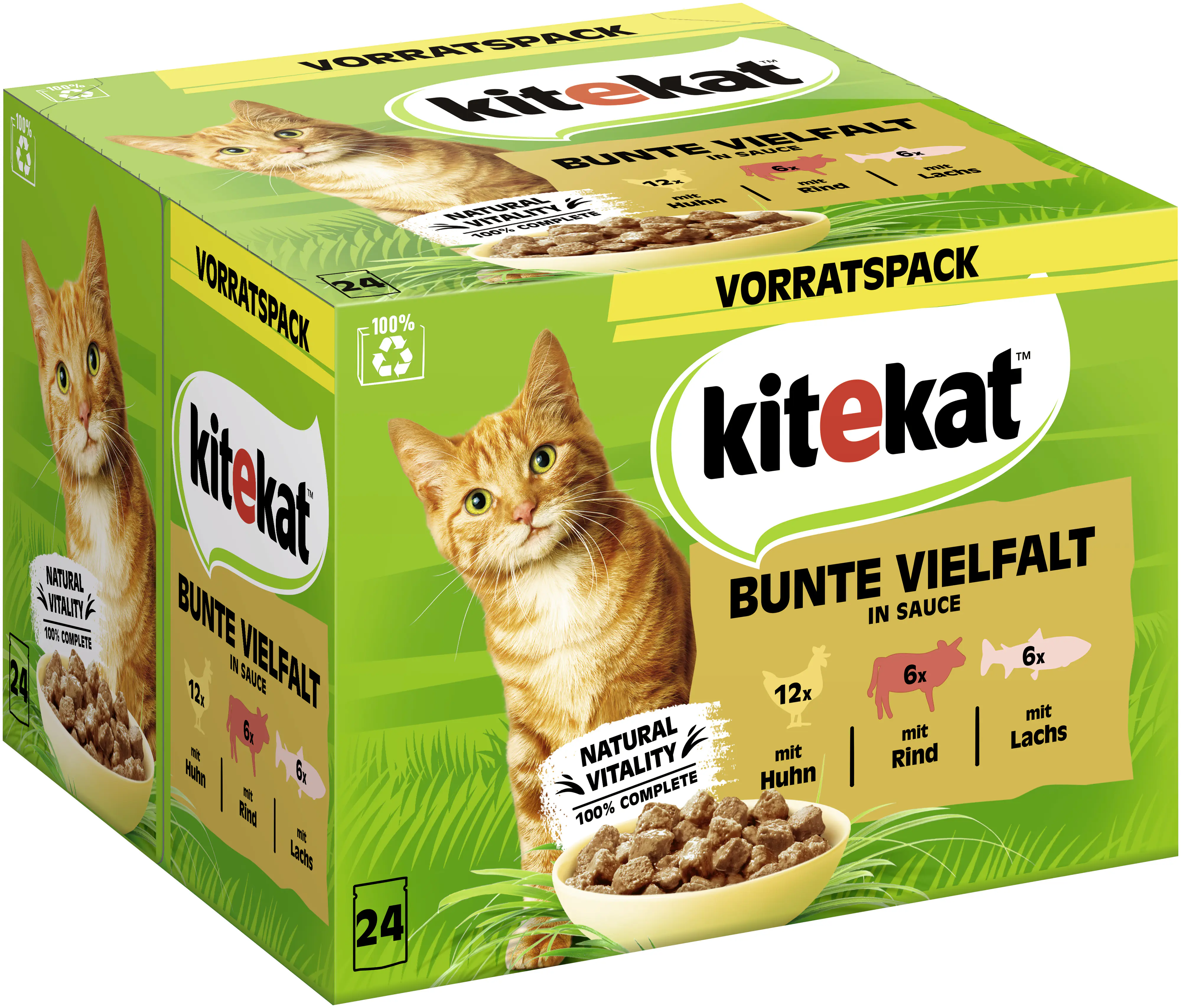 Kitekat Bunte Vielfalt in Sauce Multipack Vorratspack 24x85 g