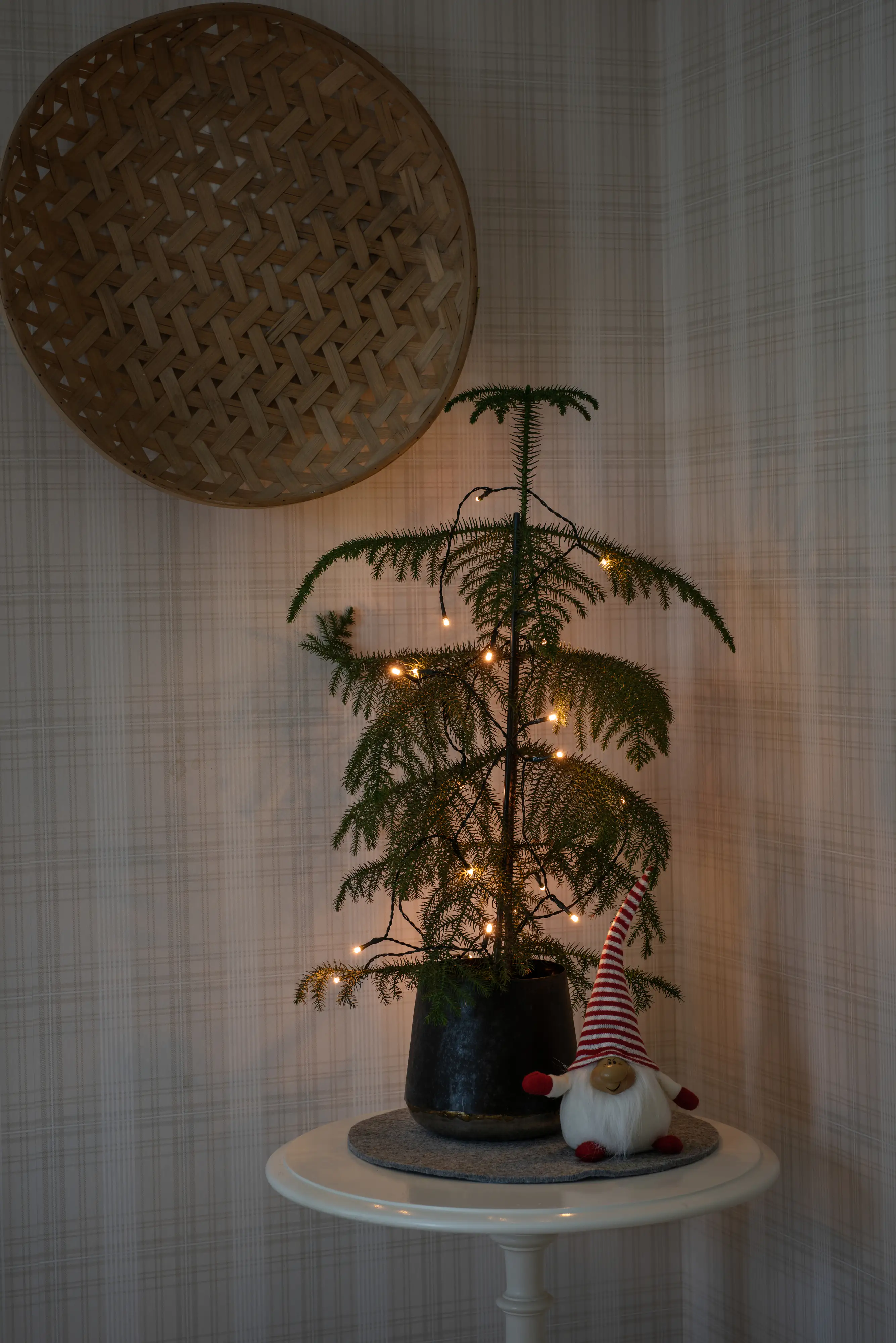 Konstsmide LED Lichterkette 30 bernsteinfarbene Dioden, batteriebetrieben Konstsmide LED Lichterkette 30 bernsteinfarbene Dioden, batteriebetrieben