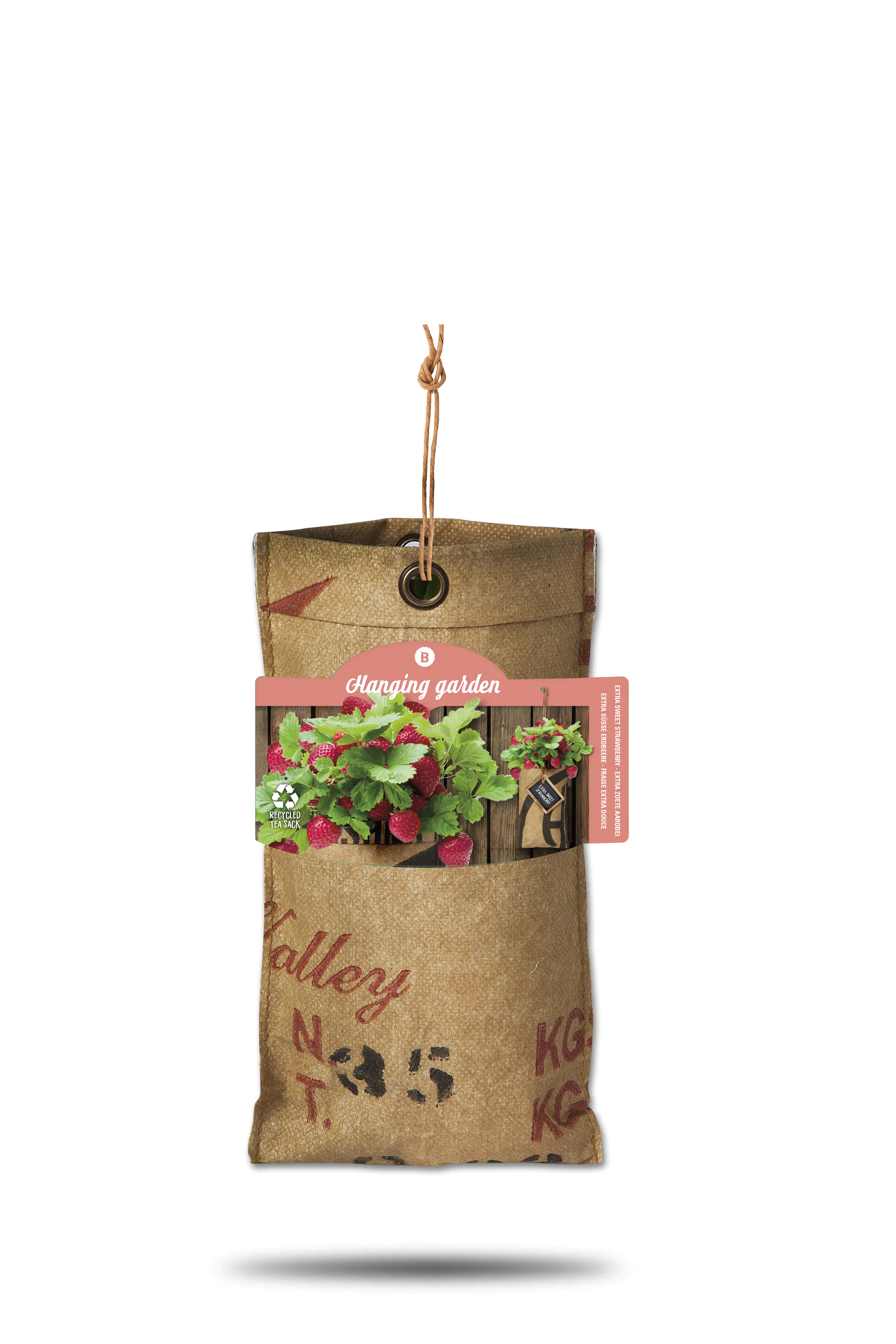 Baza Seeds hängender Garten extra süße Erdbeere Baza Seeds hängender Garten extra süße Erdbeere