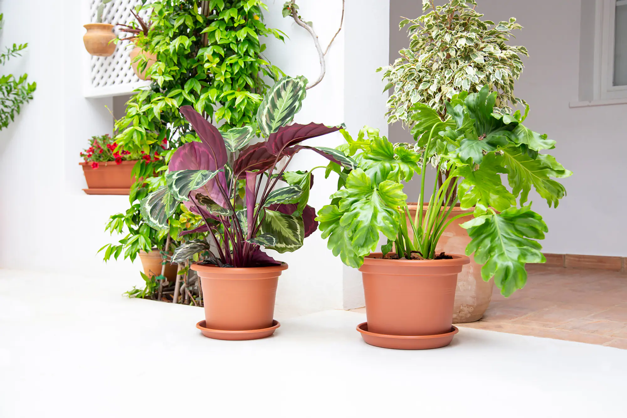 Artevasi Blumentopfuntersetzer Redondo Kunststoff rund terrakotta matt Ø 55 cm