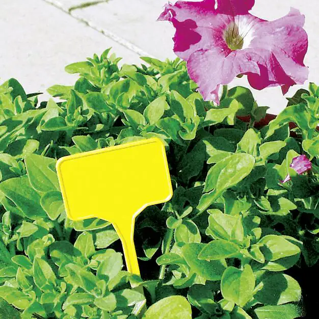 Stecketiketten 10 Stück