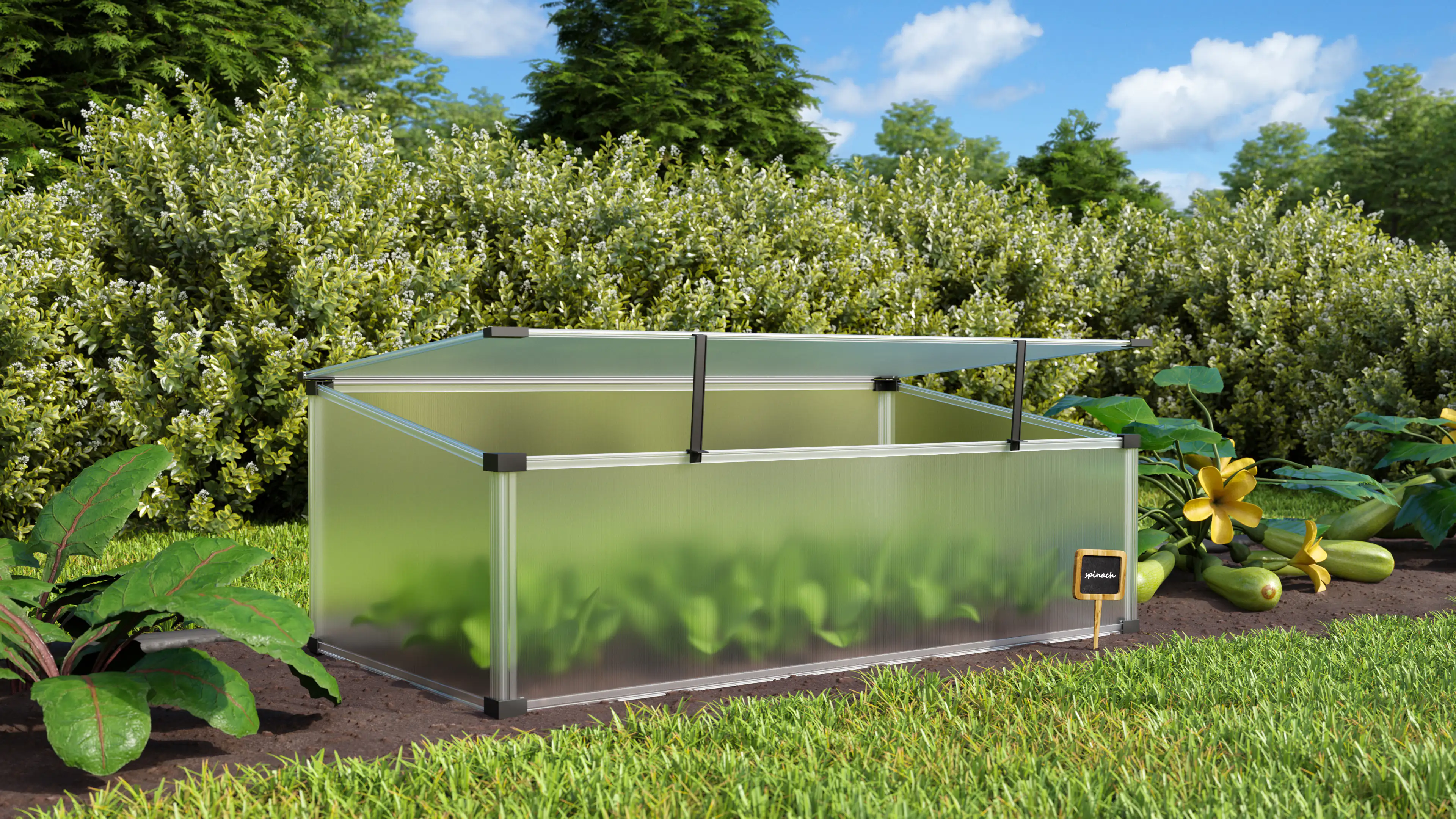 Pergart Frühbeet Feronia 56 x 104 cm Pergart Frühbeet Feronia 56 x 104 cm