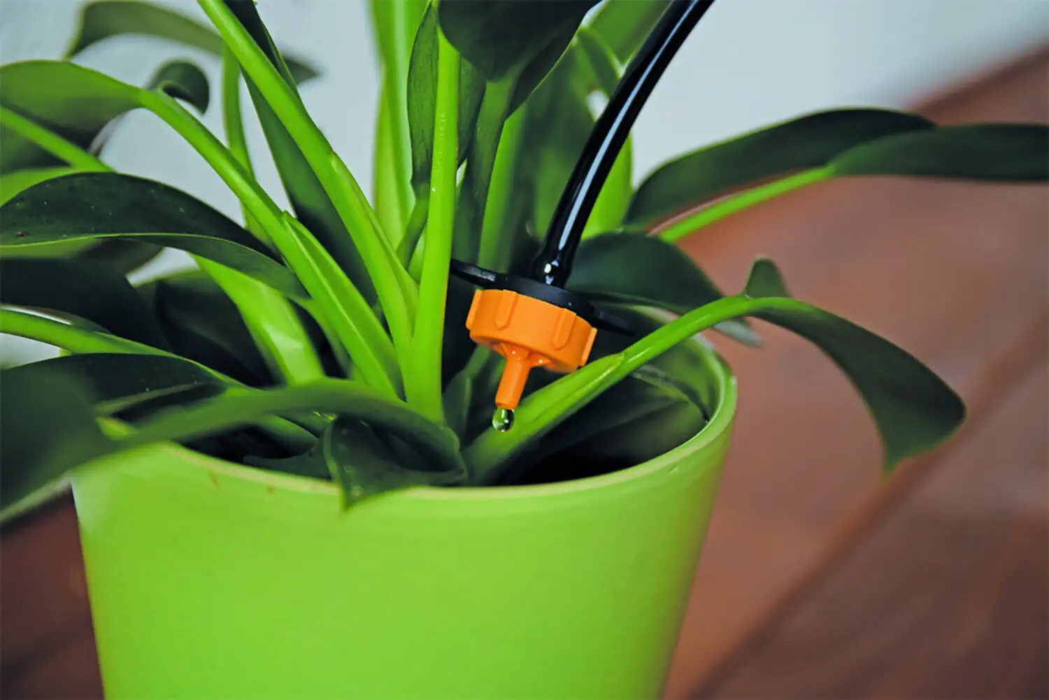 T.I.P. Solar-Bewässerungsset SBS 36