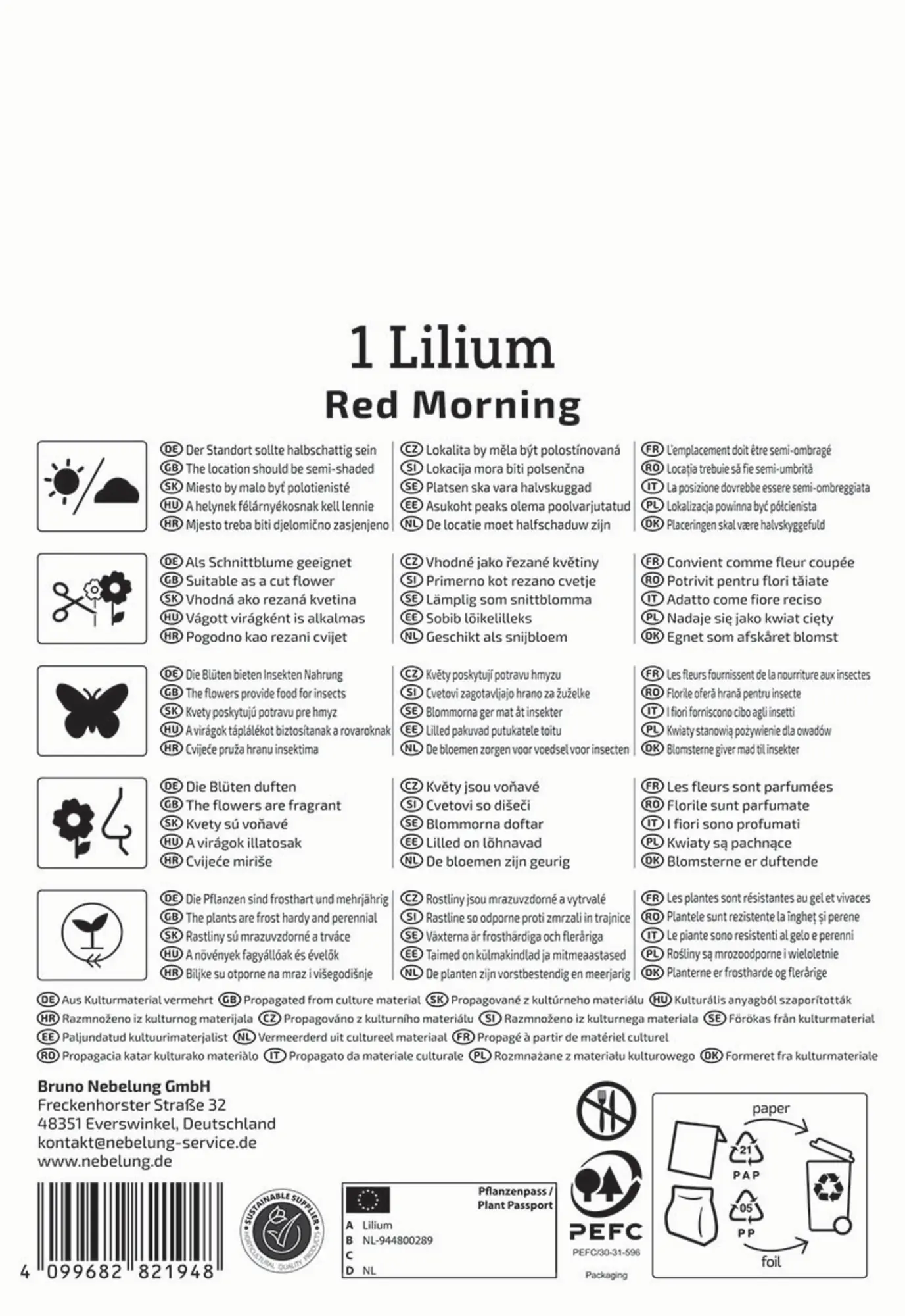 Kiepenkerl Profi-Line Frühjahrsblumenzwiebel Baum-Lilie Red Morning 1 Stück