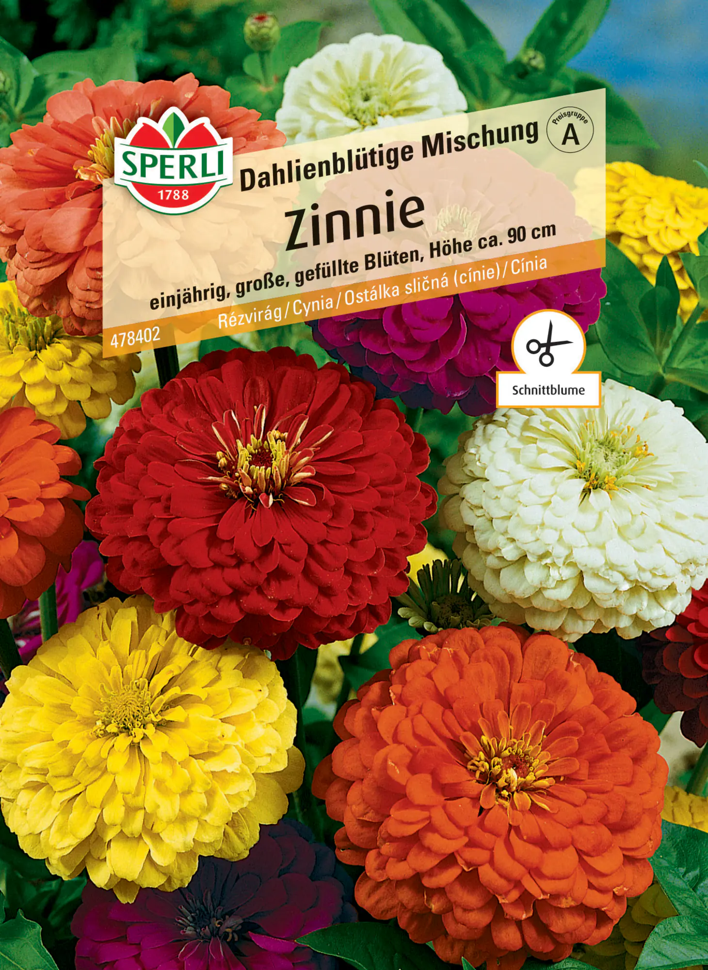 Sperli Zinnie Dahlienblütige Mischung