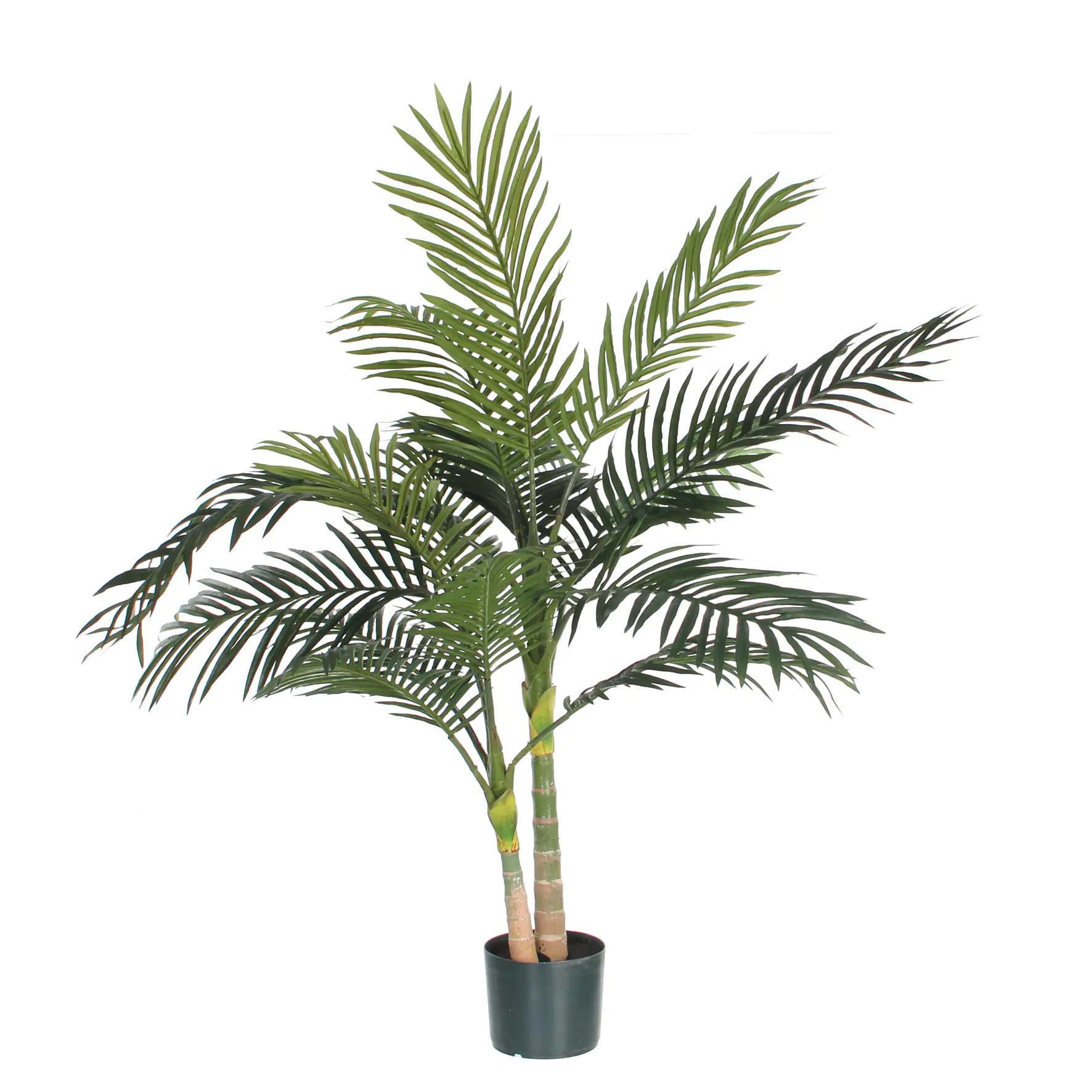 Mica Areca Palme grün, 120 x 100 cm