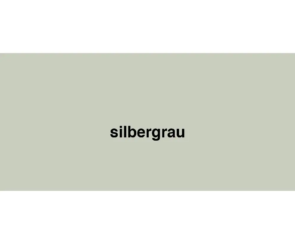 Primaster Wetterschutzfarbe 2,5 L silbergrau Primaster Wetterschutzfarbe 2,5 L silbergrau