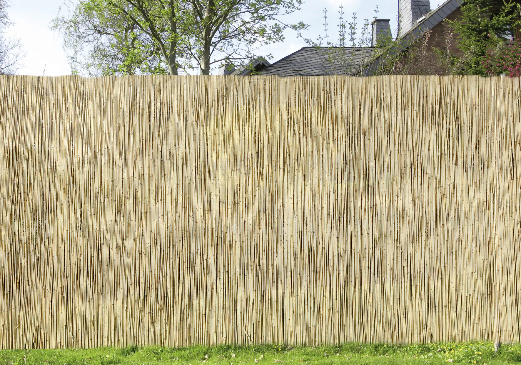 Schilfrohrmatte 6 x 1 m