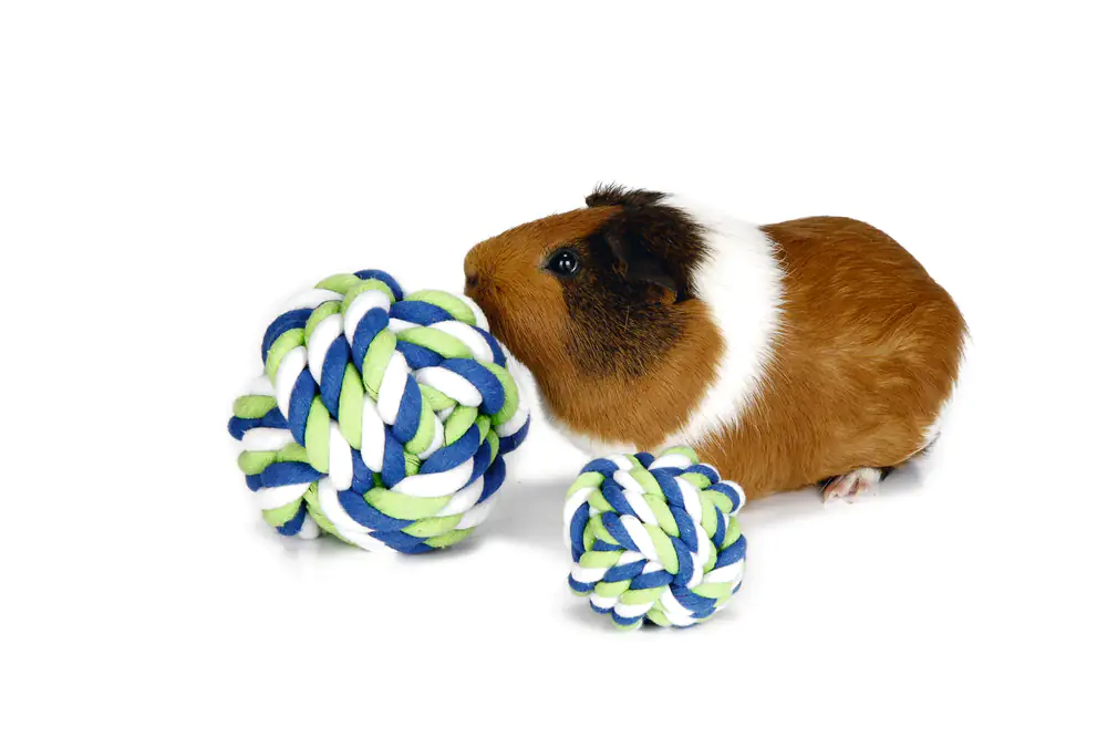 Beeztees Tauball für Nager 7 cm