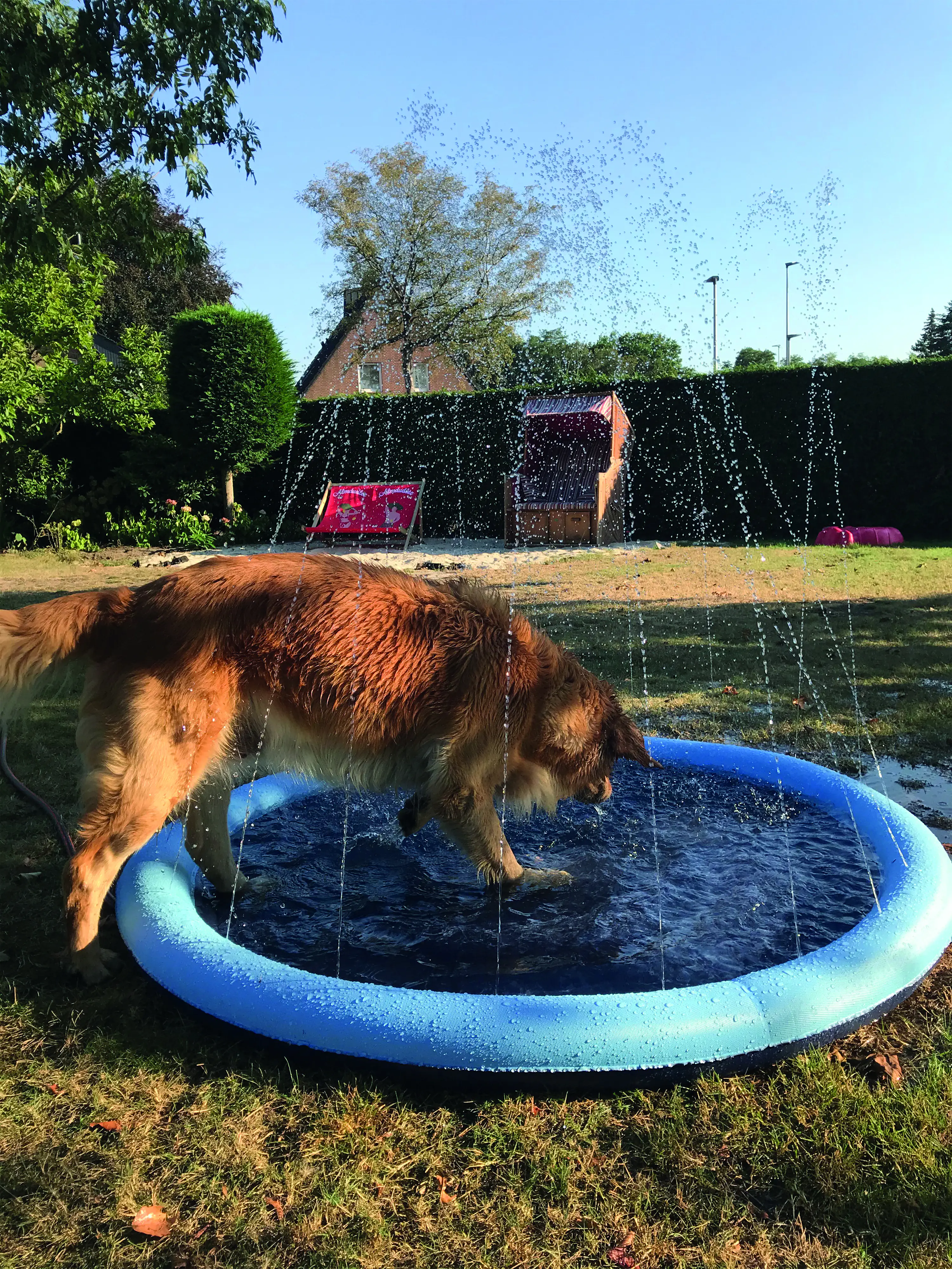 Nobby Hundepool Splash Pool Nobby Hundepool Splash Pool