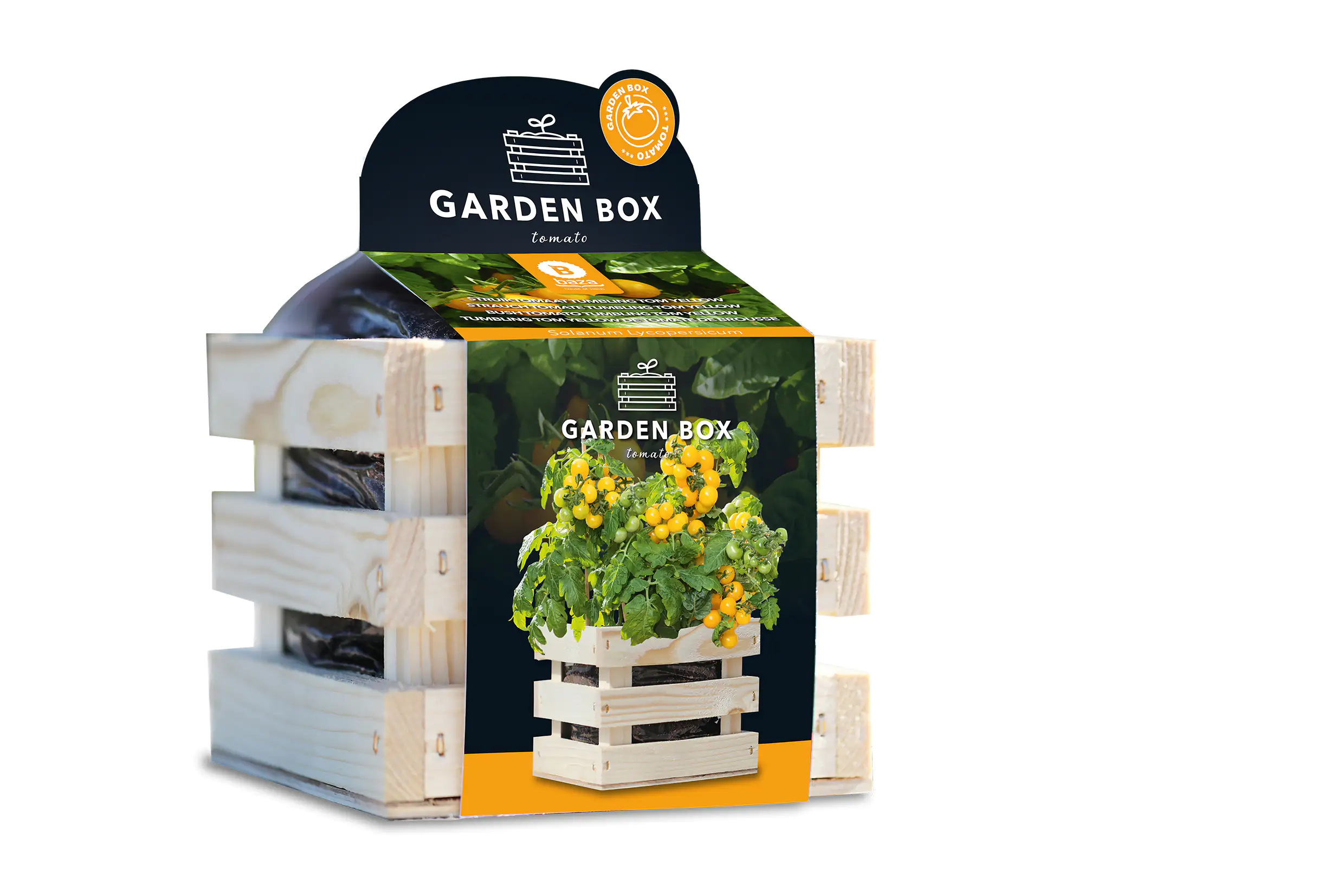 Baza Seeds Garden Box Strauchtomate Tumbling Tom gelb
