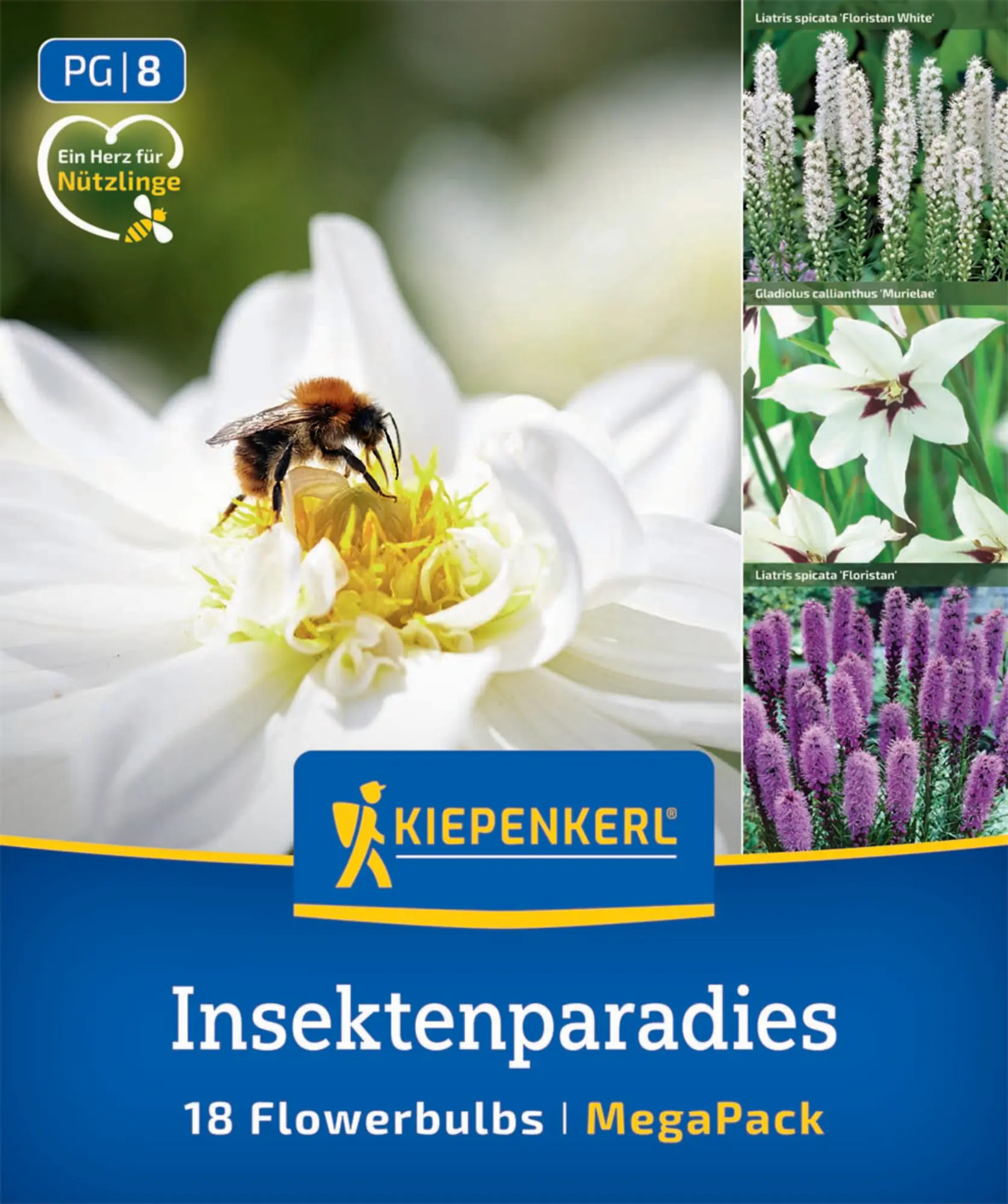 Kiepenkerl Saatgut Blumenzwiebelmischung Insektenparadies für 18 Bulbs