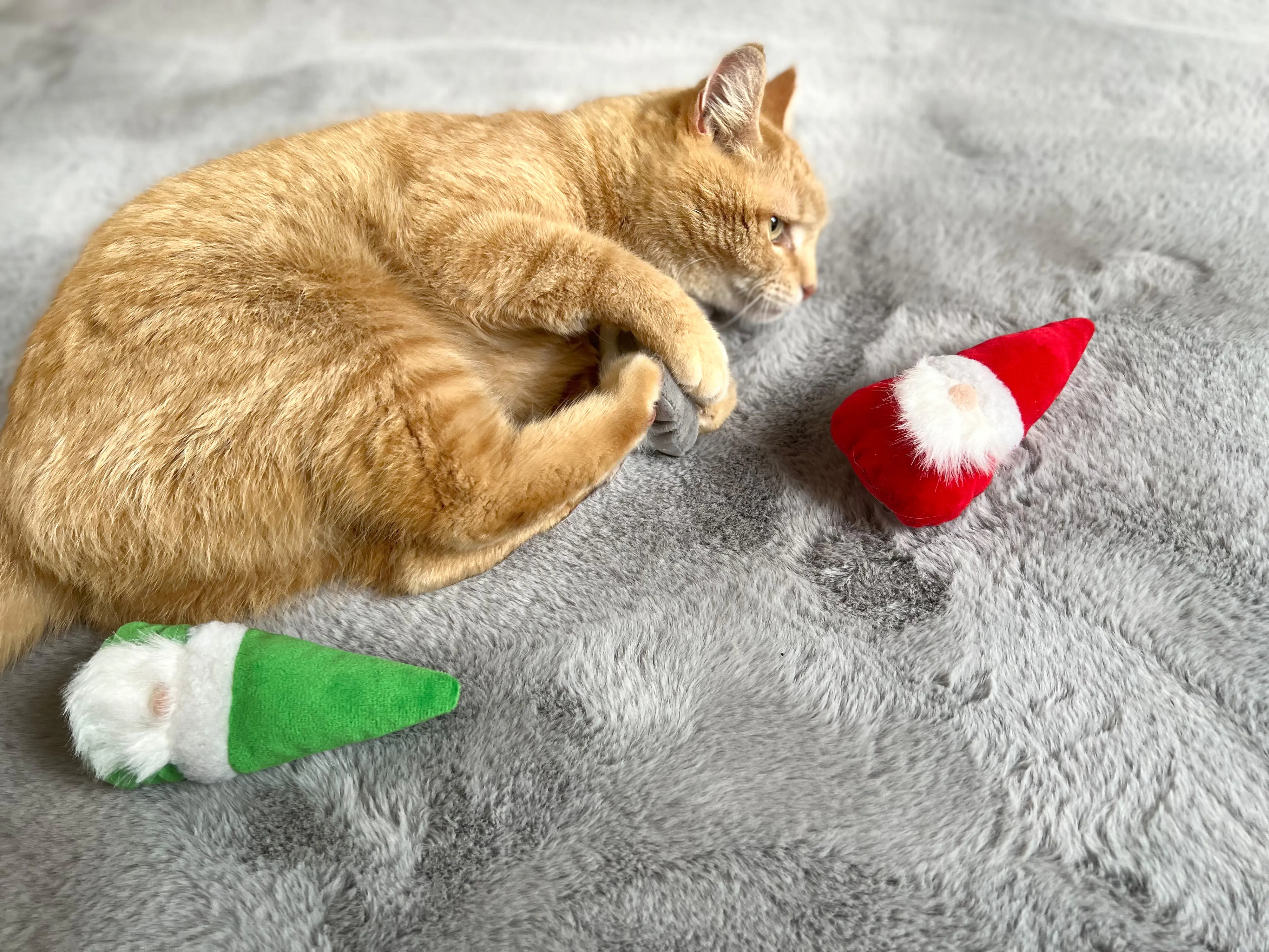 Aumüller Katzenspielzeug Weihnachtswichtel 15 cm  - 3 Stk. Aumüller Katzenspielzeug Weihnachtswichtel 15 cm  - 3 Stk.