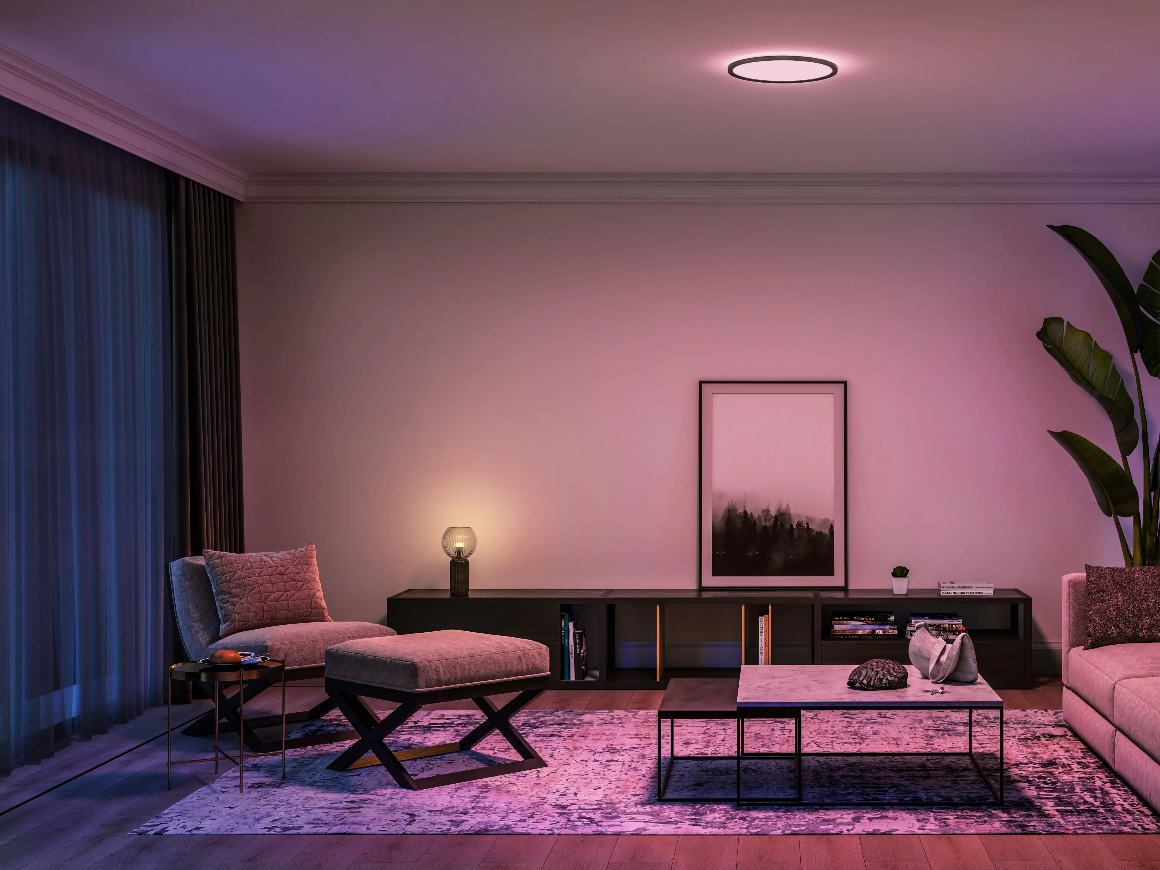 Philips Hue LED Deckenleuchte Tento rund schwarz 43 x 3 cm RGB Philips Hue LED Deckenleuchte Tento rund schwarz 43 x 3 cm RGB