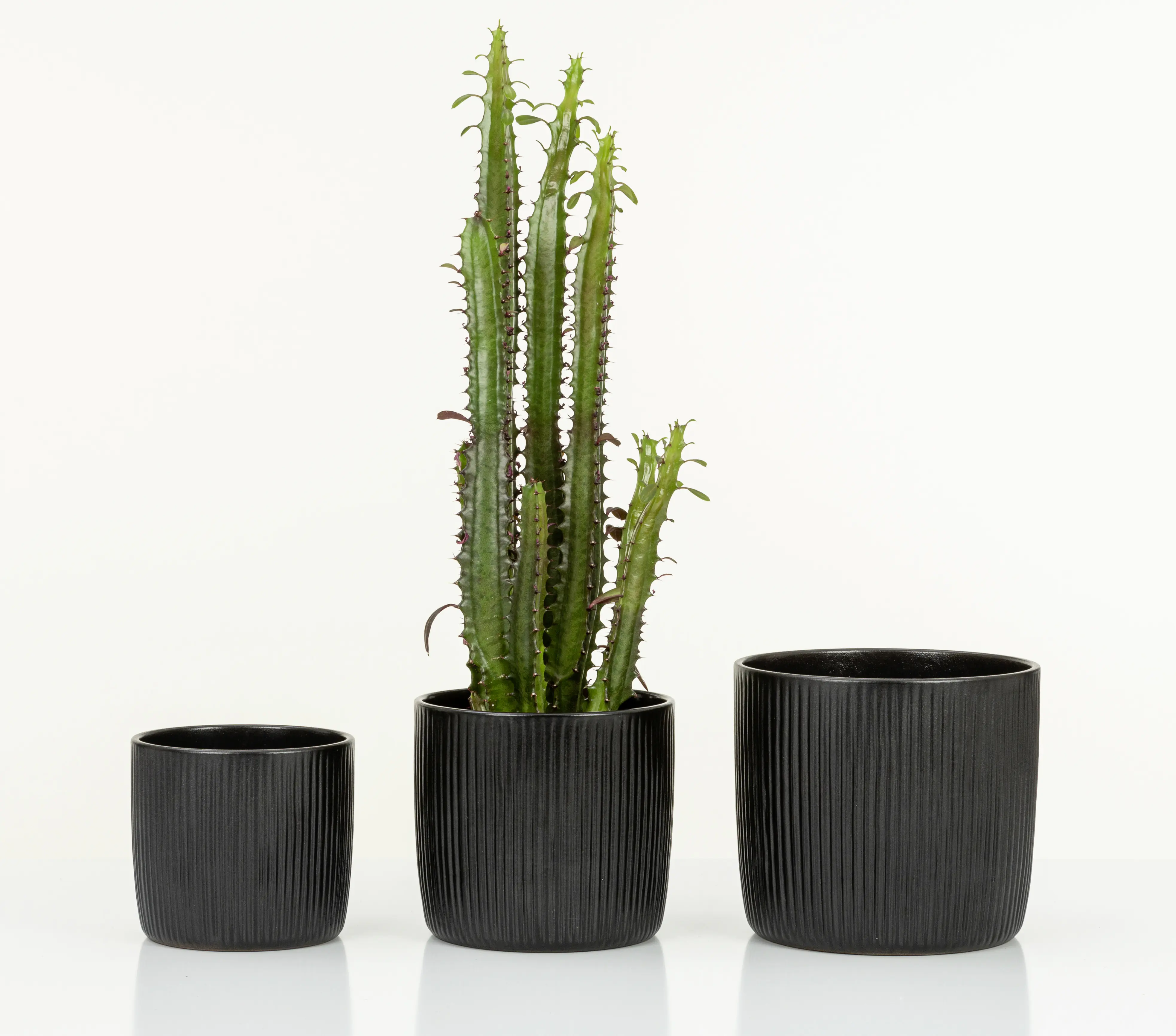 Scheurich Übertopf Solido Linea Ø 17,6 x 16 cm ebano schwarz