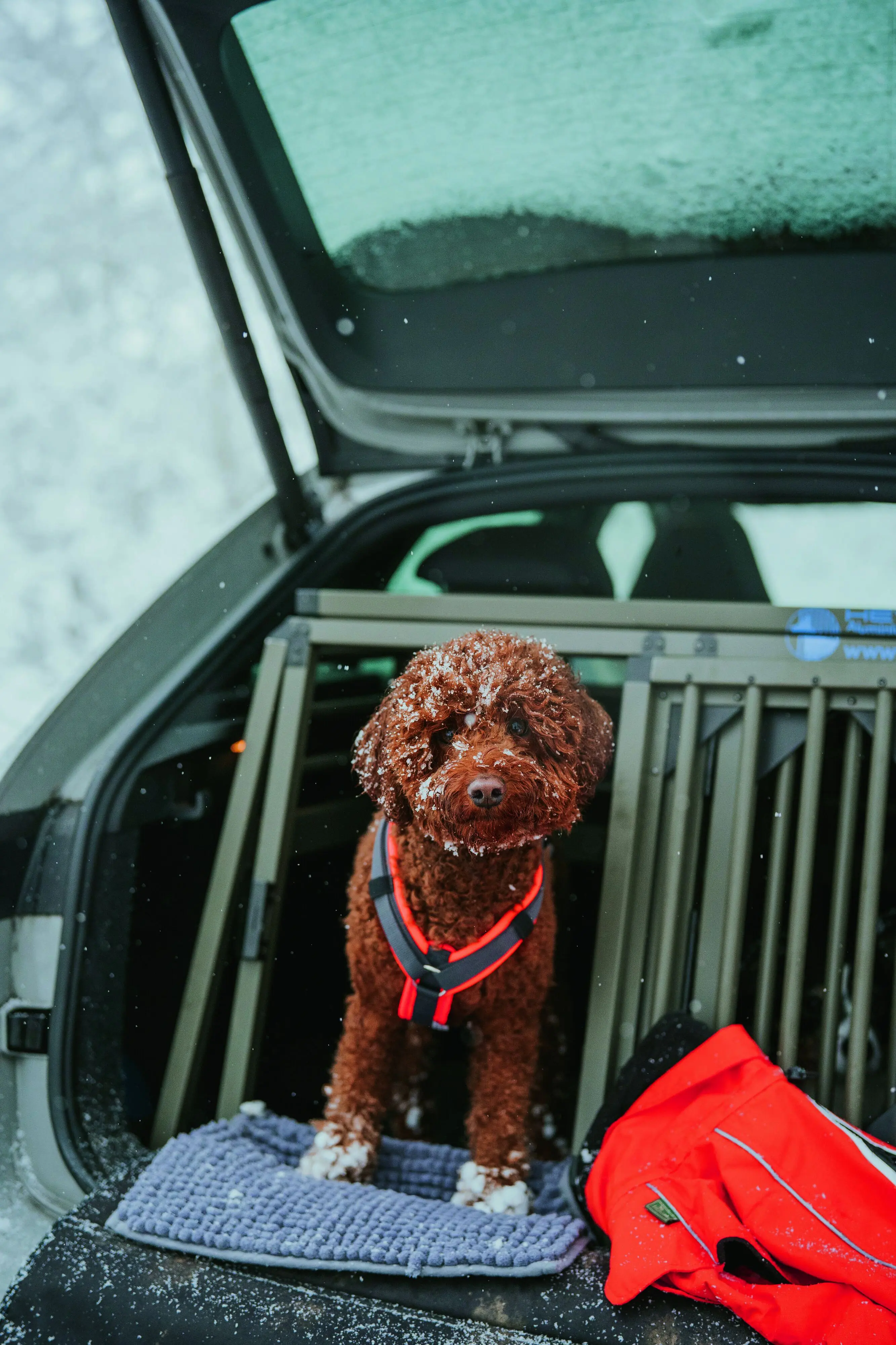 Hunter Hundegeschirr Maldon Up mit Griff L orange/grau