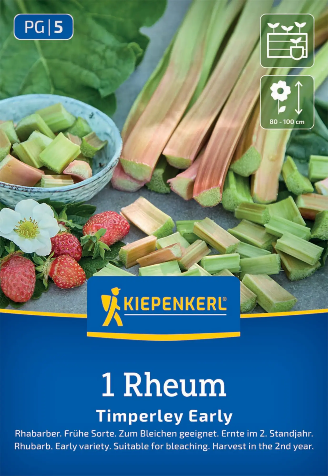 Kiepenkerl Pflanzgut Rhabarber Timperley Early Rheum rhabarbarum 1 Stück