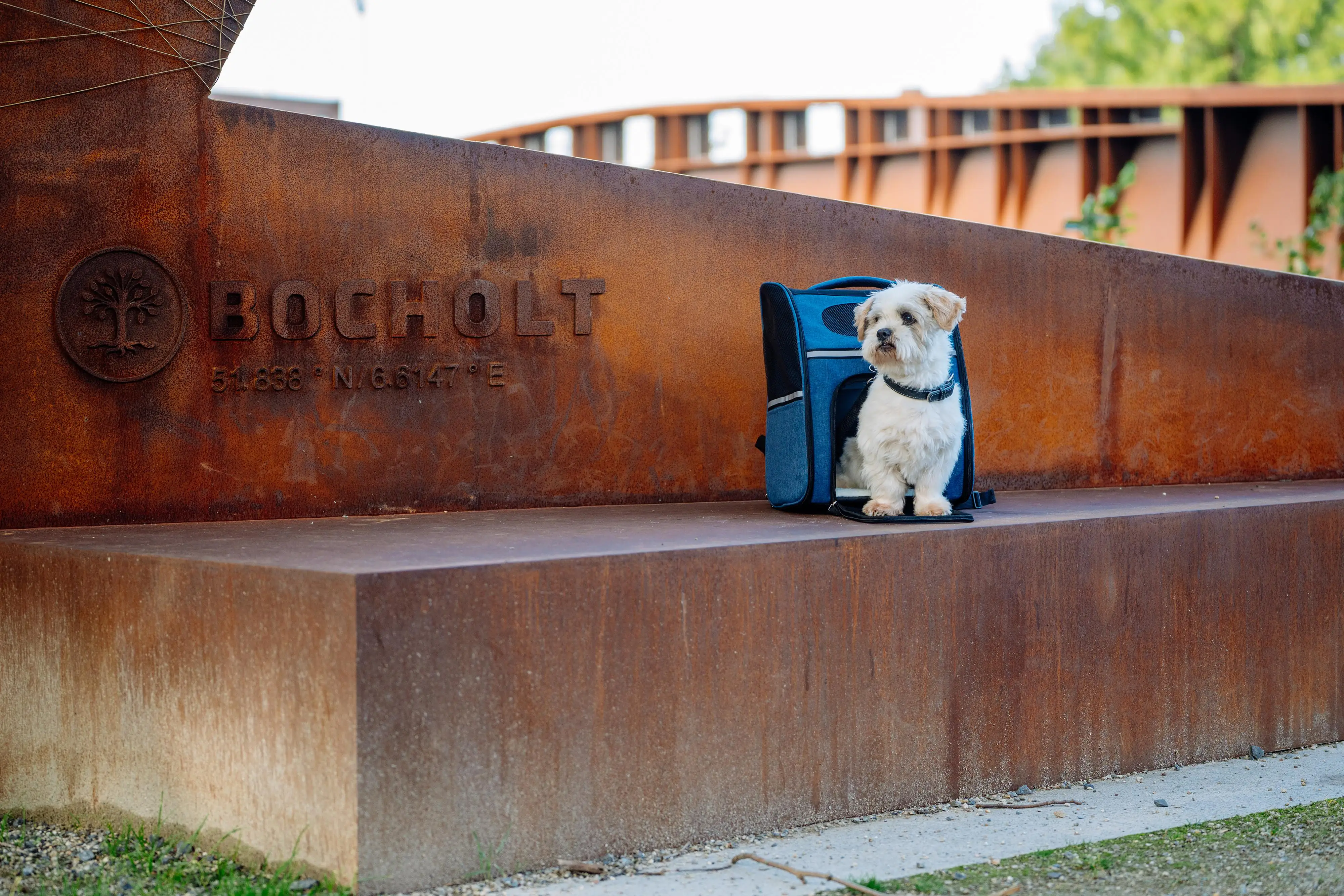 Nobby Tragerucksack Rana blau Nobby Tragerucksack Rana blau