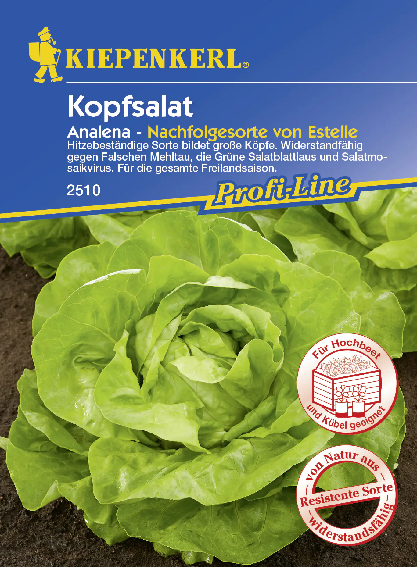 4000159175105 Kiepenkerl Kopfsalat Analena ca. 100 Pflanzen