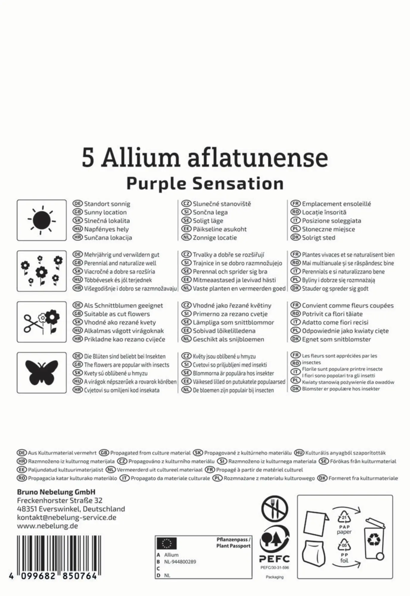 Kiepenkerl Herbstblumenzwiebel Allium Purple Sensation 5 Pflanzen