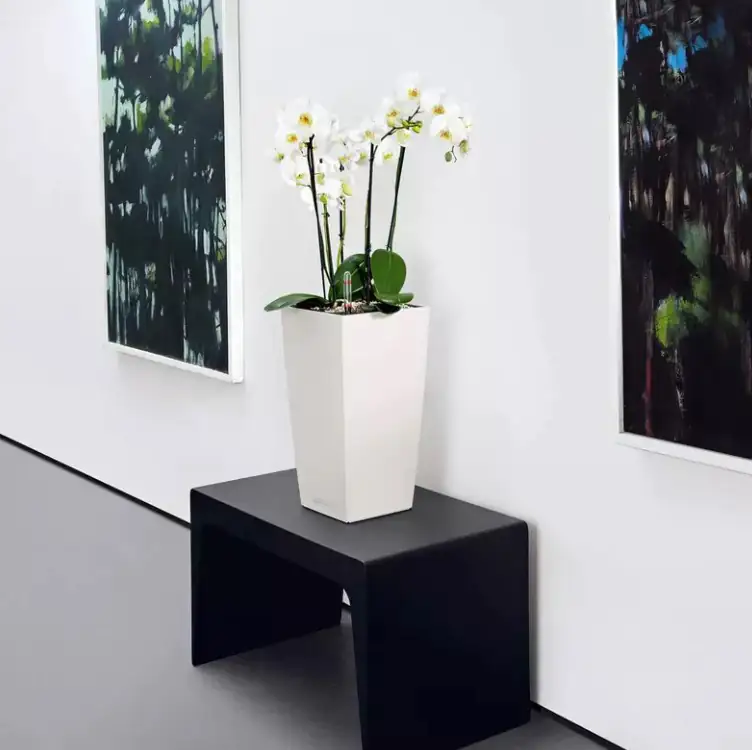 Lechuza Pflanzgefäß Cubico Color 30 weiß