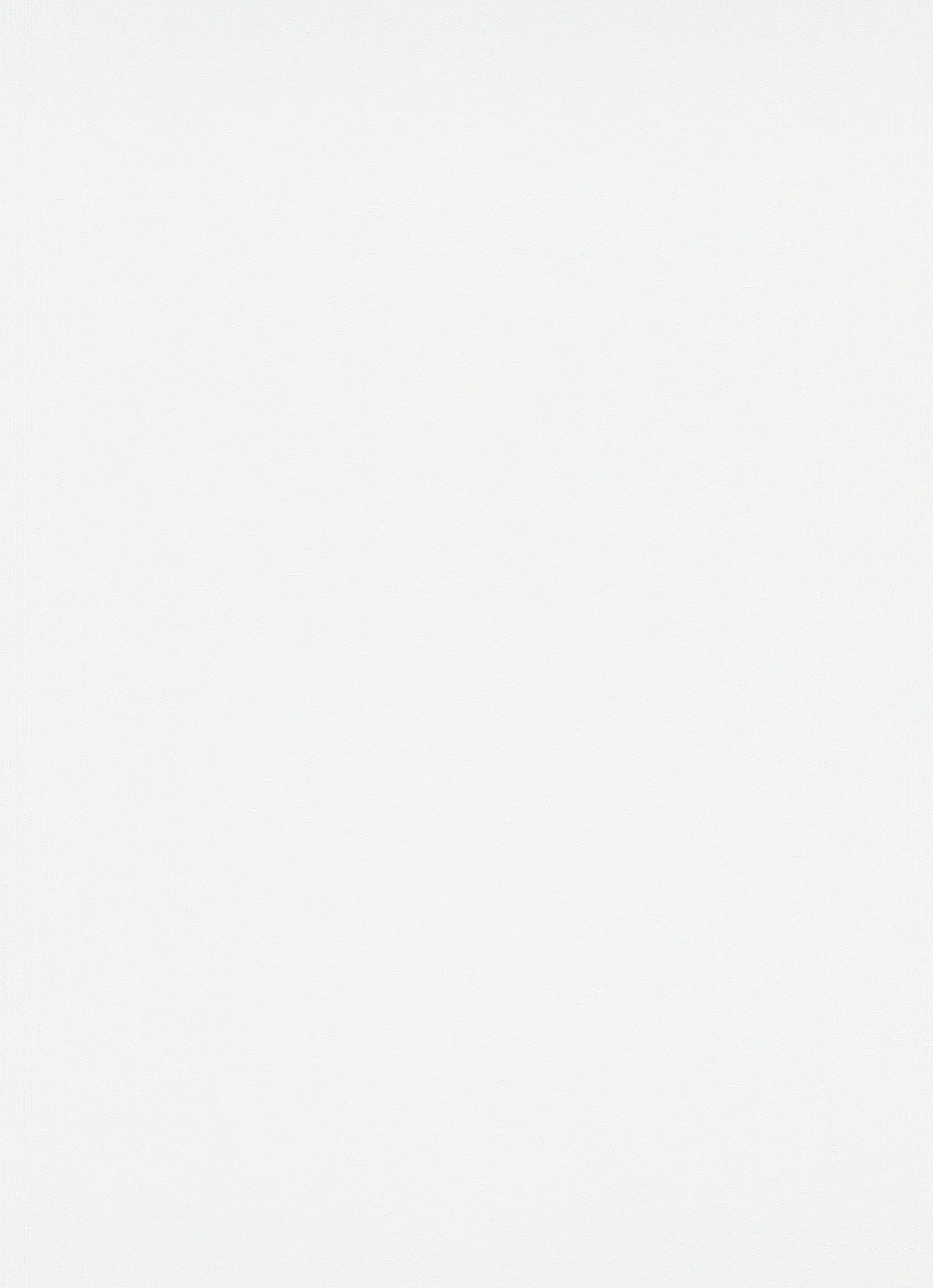 Guido Maria Kretschmer Vliestapete 10004-01 Fashion For Walls uni weiß 10,05 x 0,53 m