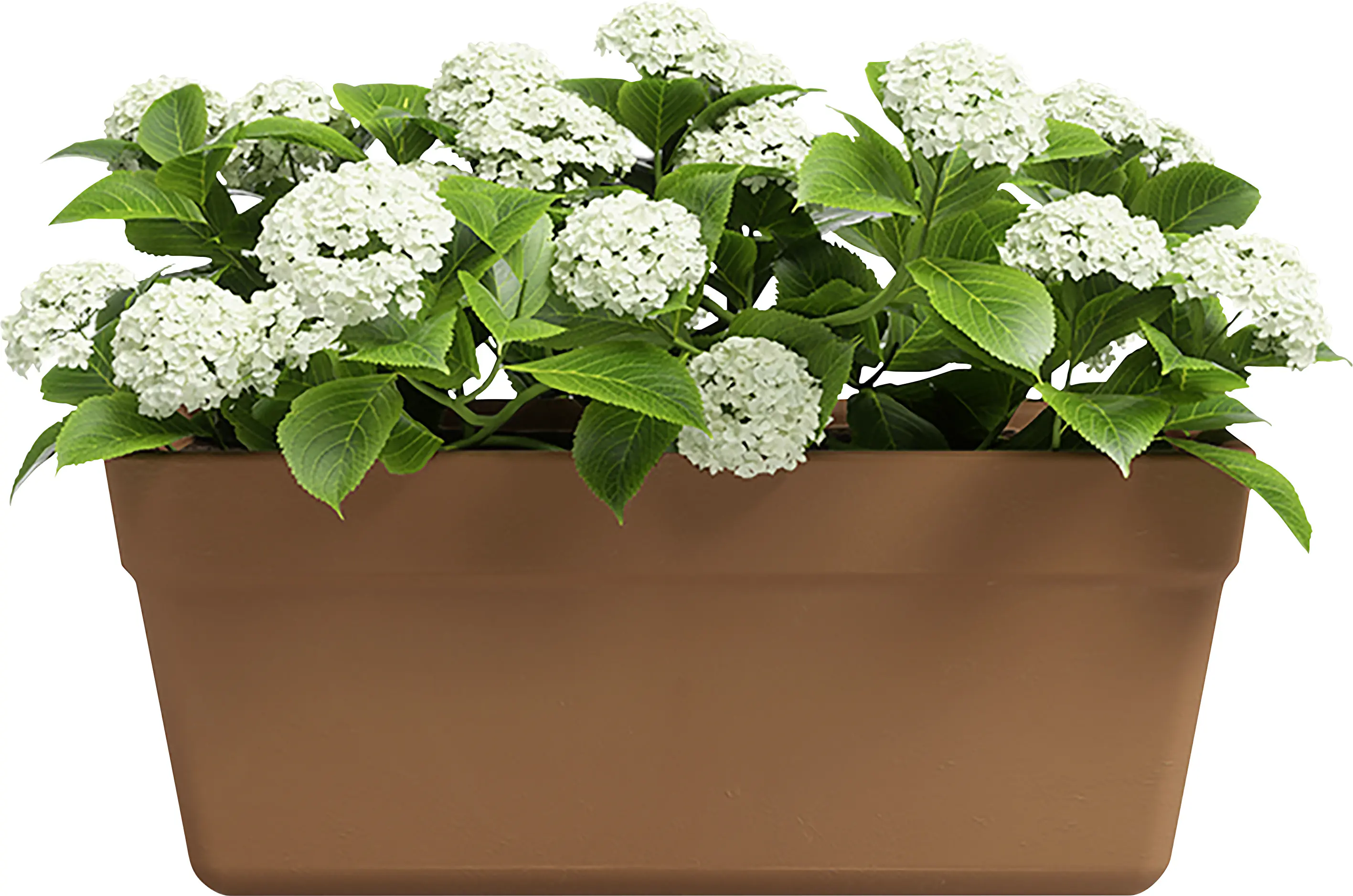 Artevasi Pflanzkasten Amália Terrakotta tonrot 52 x 21 cm 