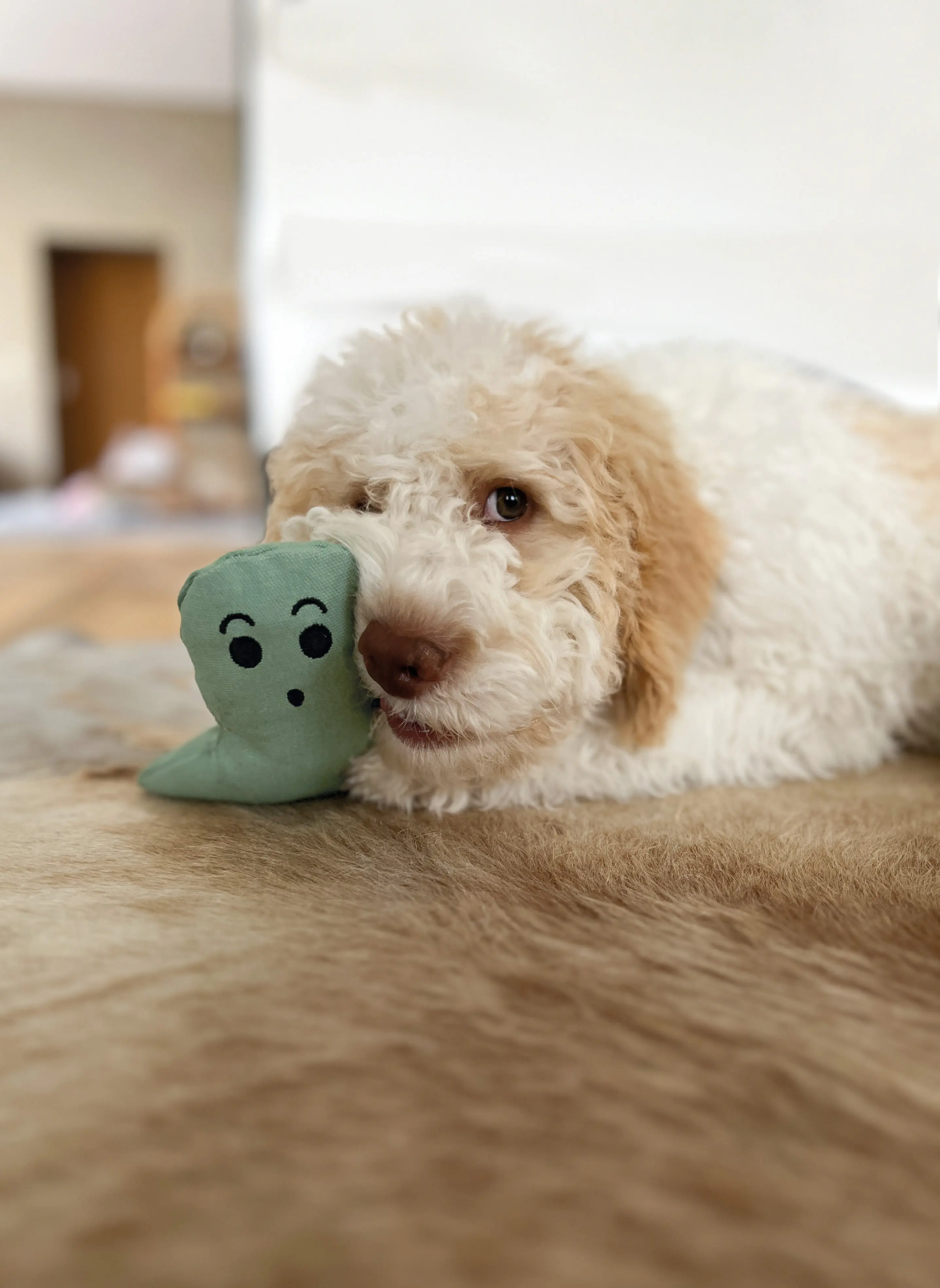 Aumüller Hundespielzeug Geist 16 cm grün Aumüller Hundespielzeug Geist 16 cm grün