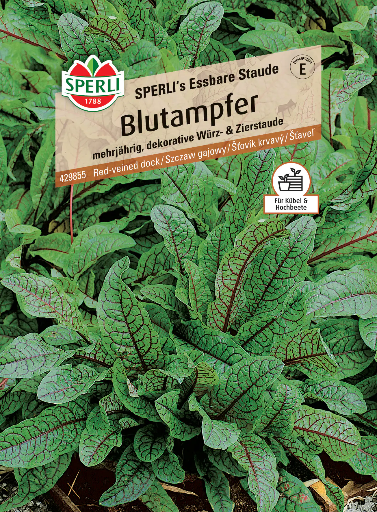 Sperli Blutampfer Sperli 's Essbare Staude Sperli Blutampfer Sperli 's Essbare Staude