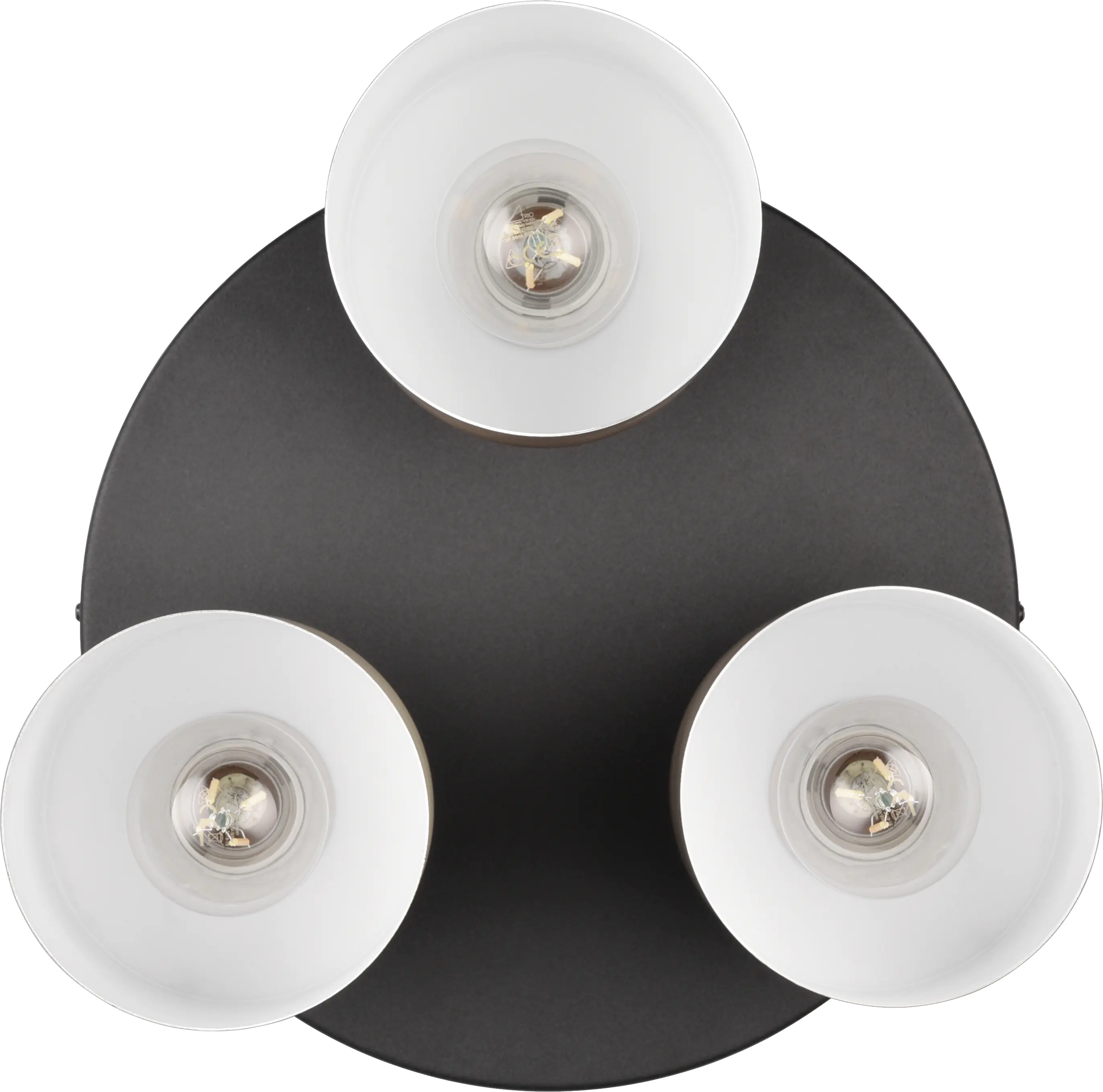Trio Leuchten LED-Deckenleuchte Agudo E27 schwarz Metall