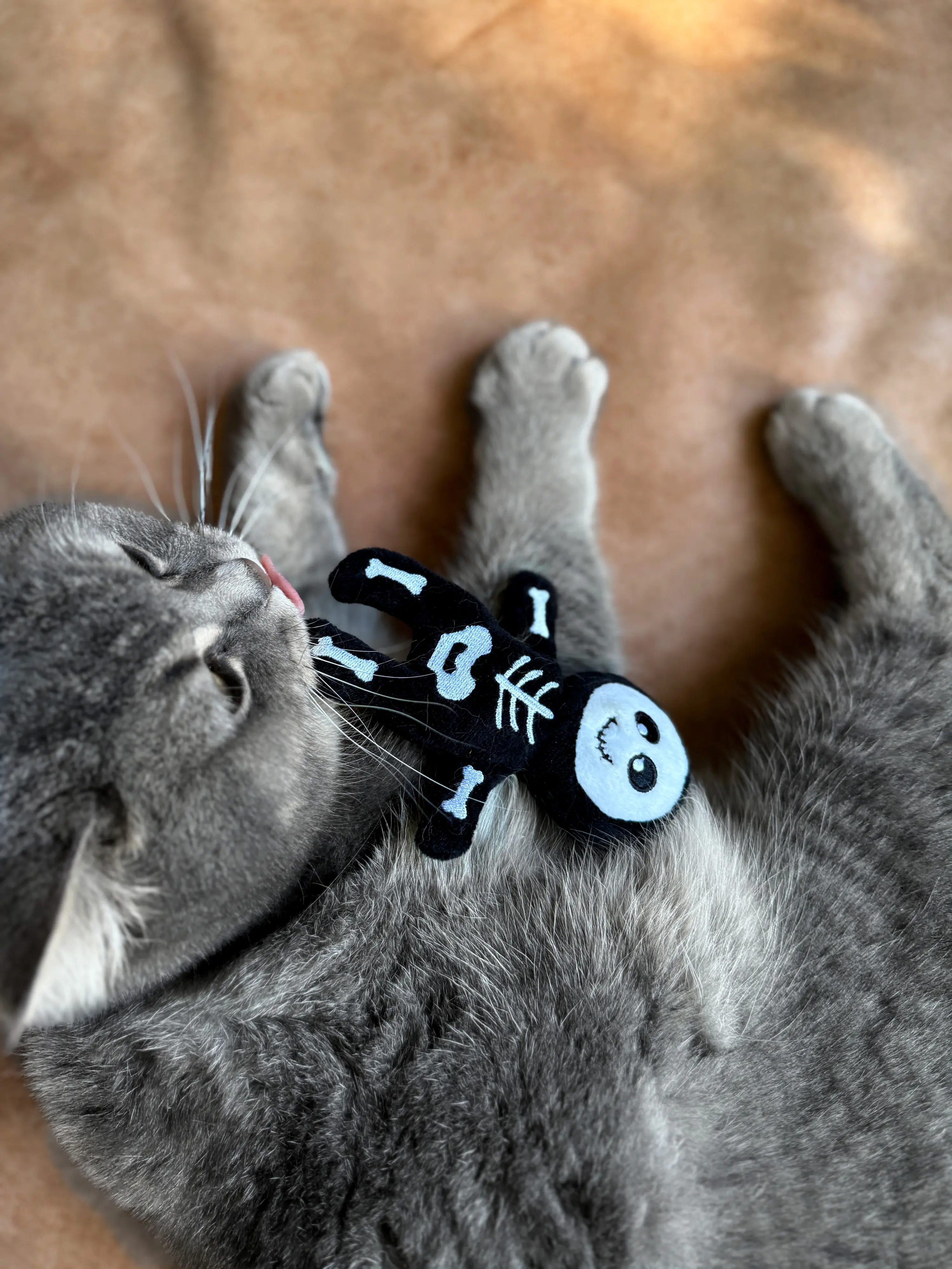 Aumüller Katzenspielzeug Skelett 13 cm schwarz weiß Aumüller Katzenspielzeug Skelett 13 cm schwarz weiß