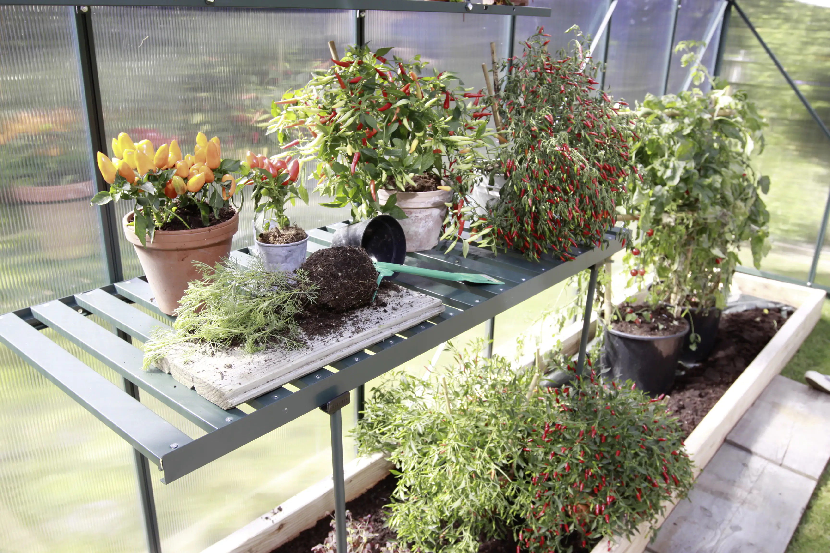 Vitavia Alutisch 120 x 56 x 81 smaragd