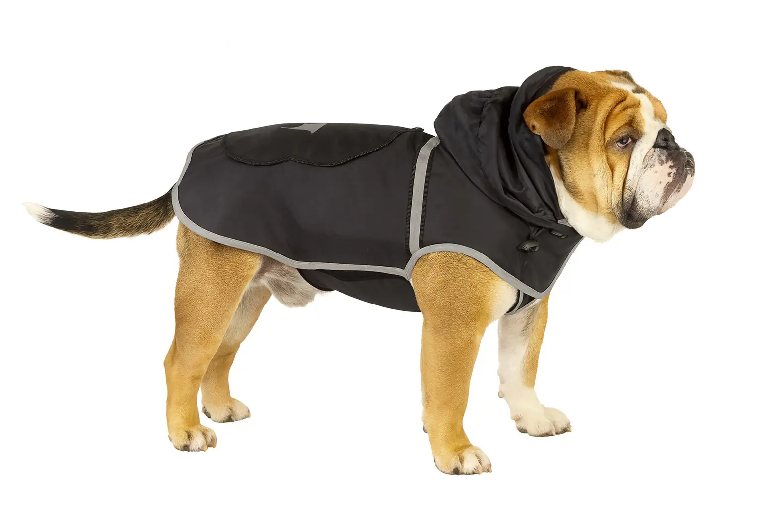 Nobby Hundemantel Rainy Rückenlänge 32 cm, schwarz