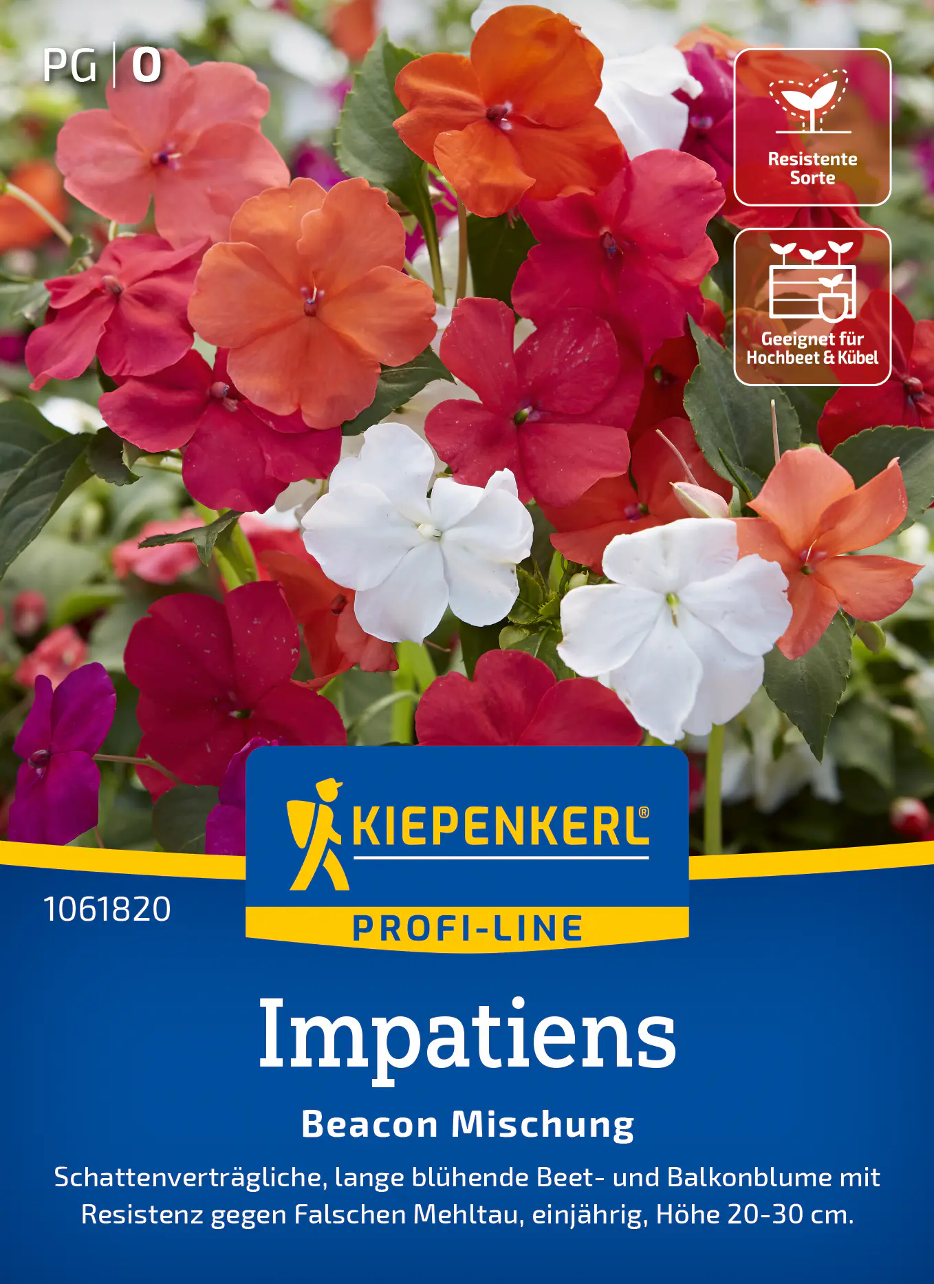 Kiepenkerl Profi-Line Saatgut Impatiens Beacon Mischung F1 für ca. 20 Pflanzen