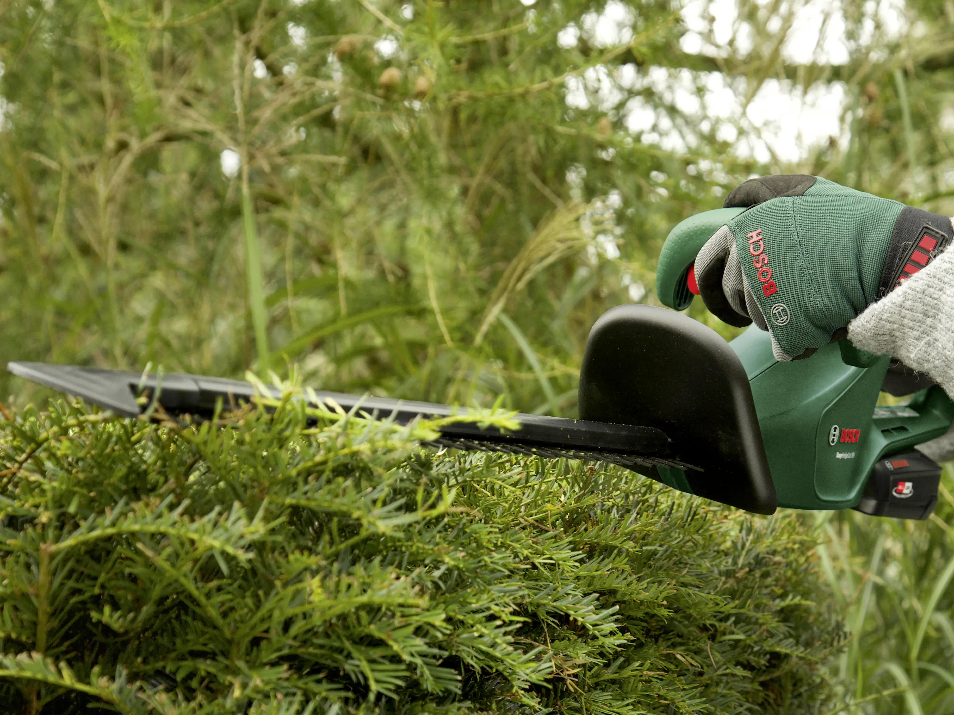 Bosch Akku-Heckenschere EasyHedgeCut 18-45 18V 2,0 Ah Solo