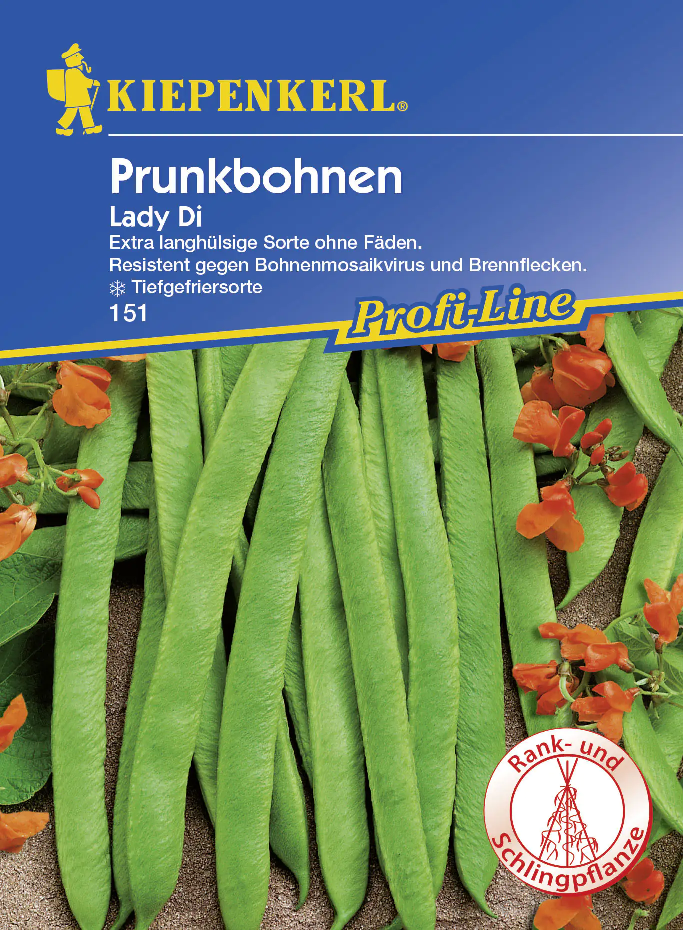 Kiepenkerl Profi-Line Prunkbohnen Lady Di Phaseolus coccineus, Inhalt: 8-10 Stangen