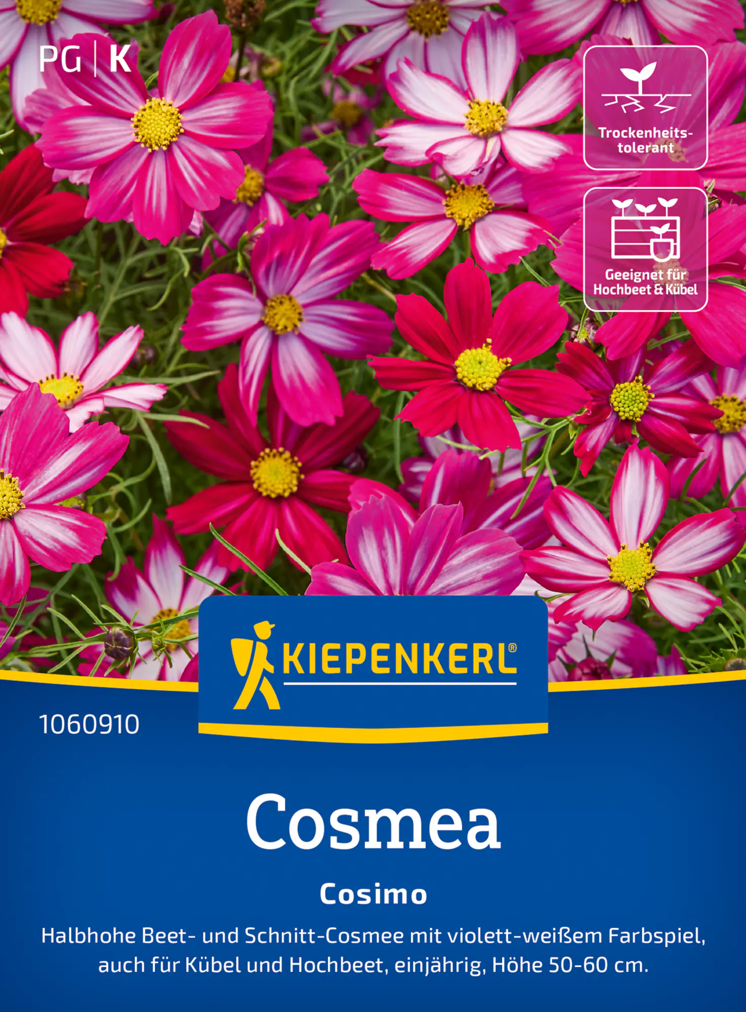 Kiepenkerl Blumensamen Cosmos Cosimo für ca. 30 Pflanzen
