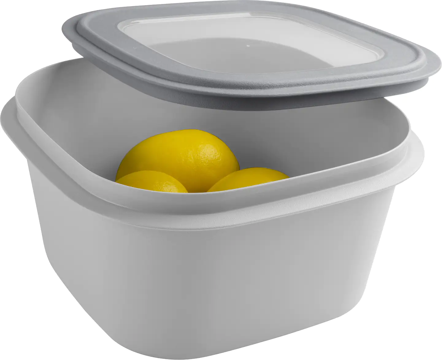 Sunware Frischhaltedose Sigma Home 3,8 L grau