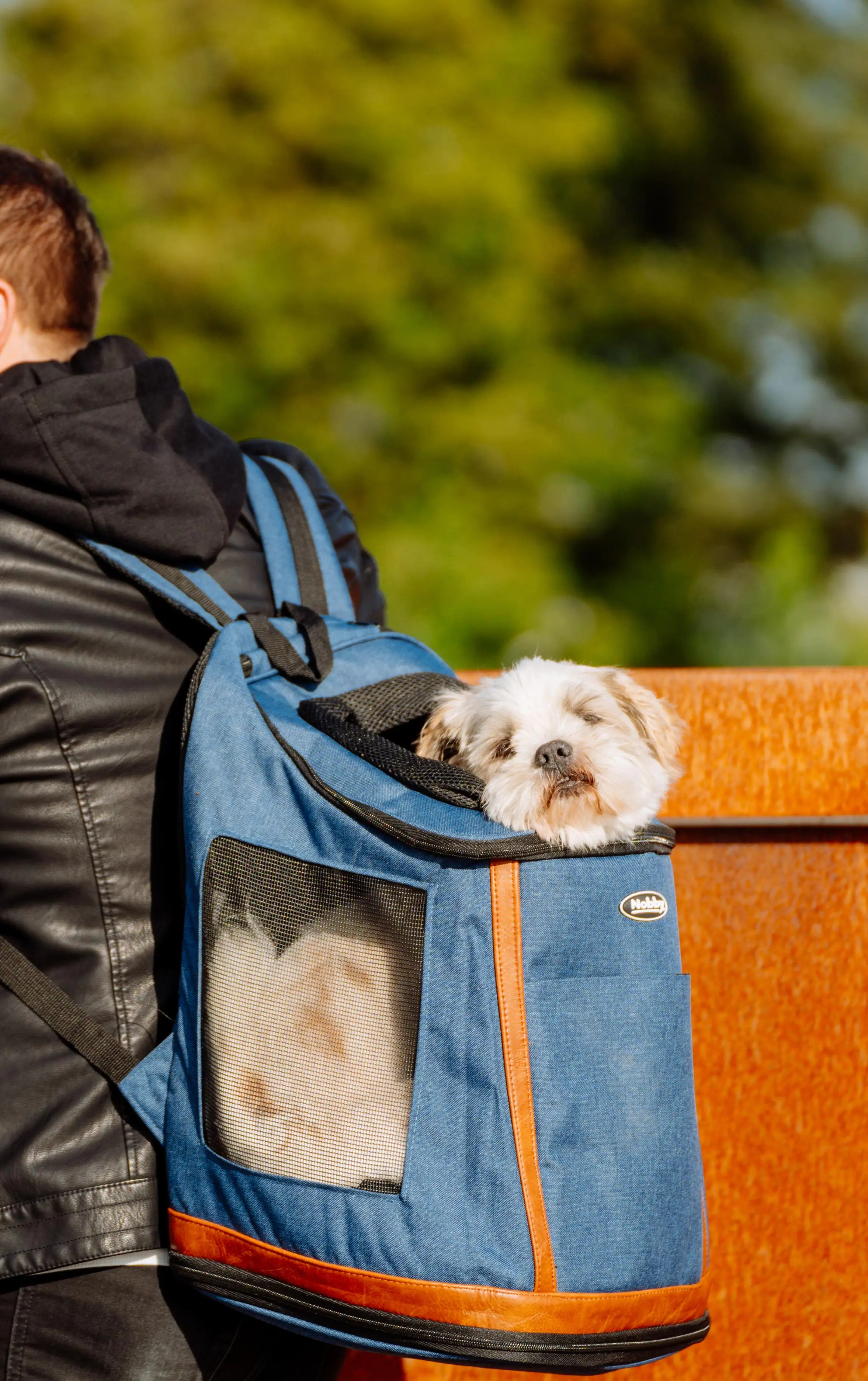 Nobby Tragerucksack Widok blau