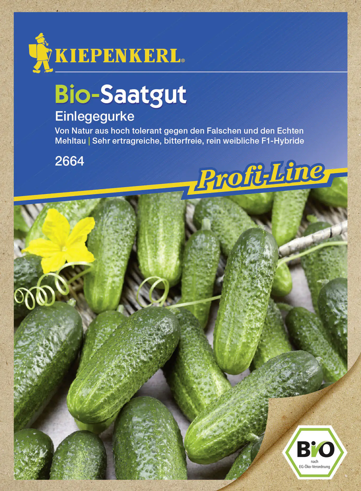 Kiepenkerl Bio-Saatgut Gurke Diamant Cucumis sativus, Inhalt: 14 Korn