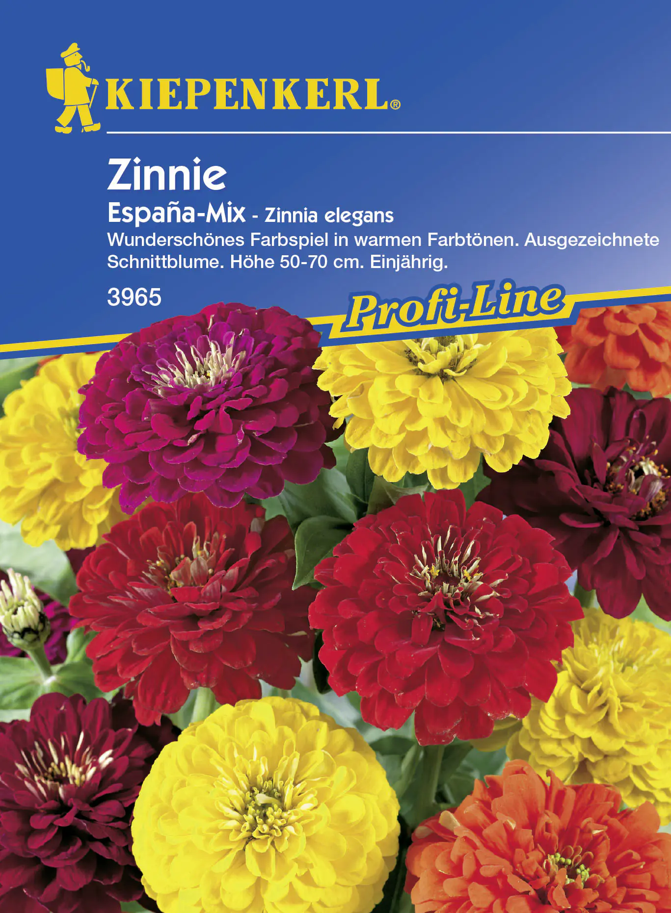 Kiepenkerl Zinnie Espana Zinnia elegans, Inhalt: ca. 70 Pflanzen