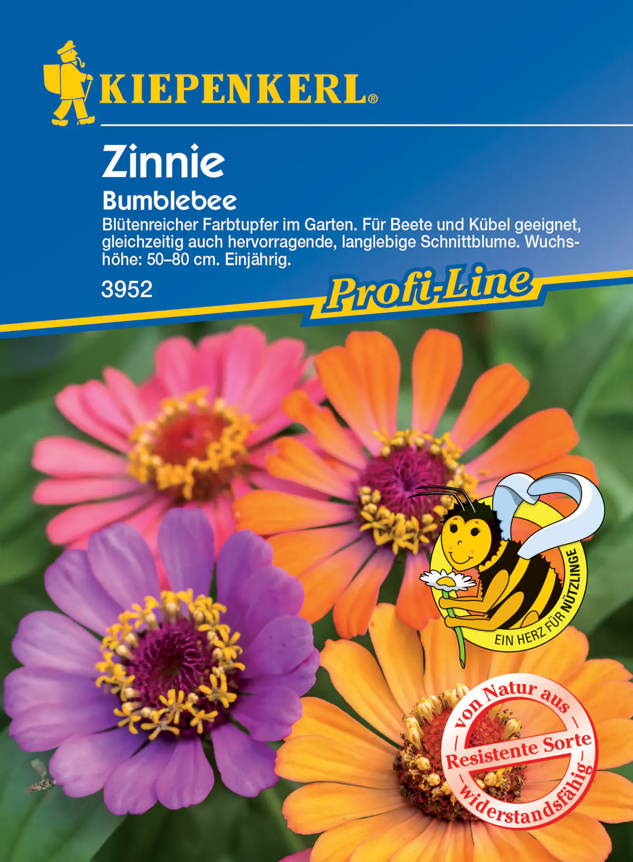 Kiepenkerl Zinnie Bumblebee