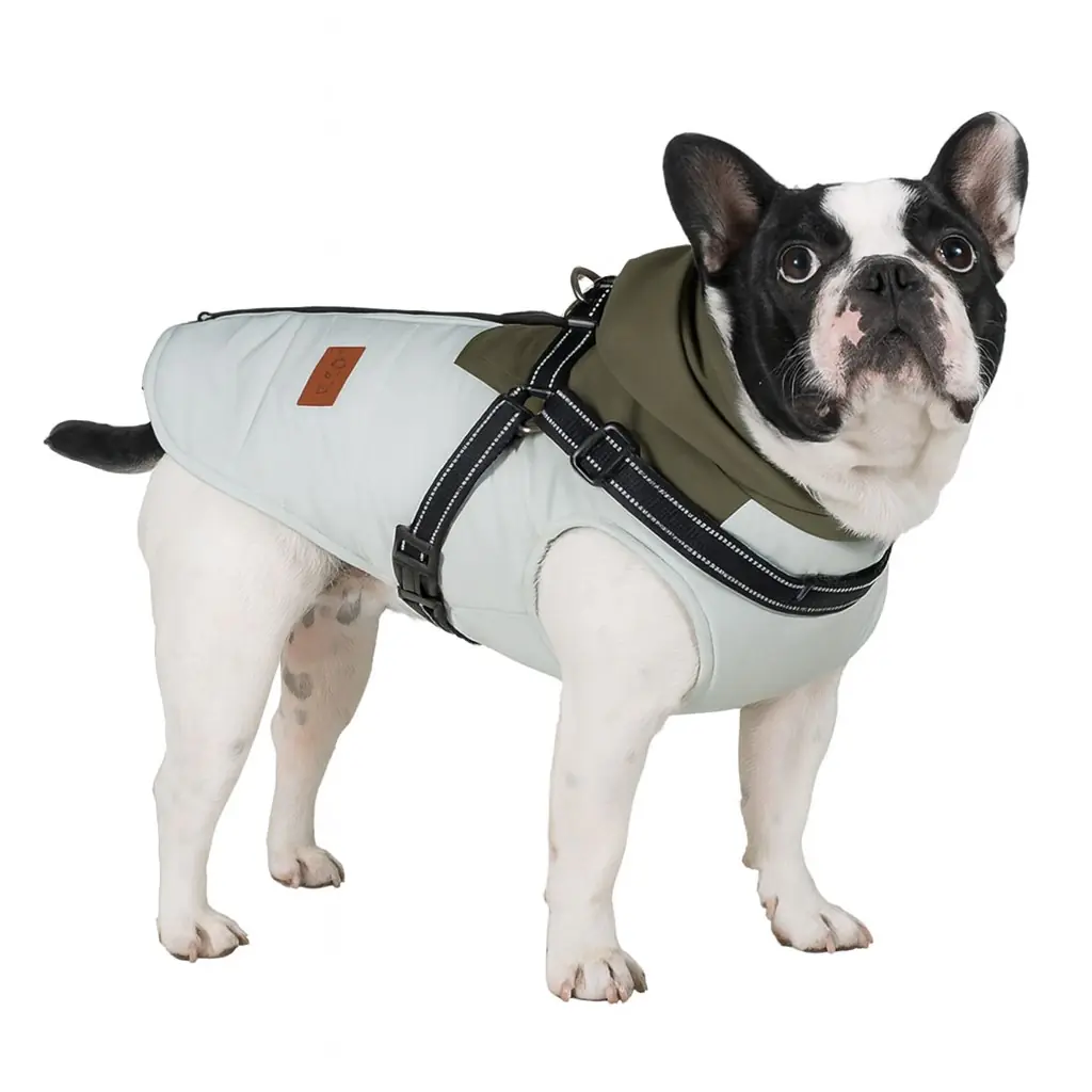 Nobby Hundemantel Jona 2 in 1 hellgrün