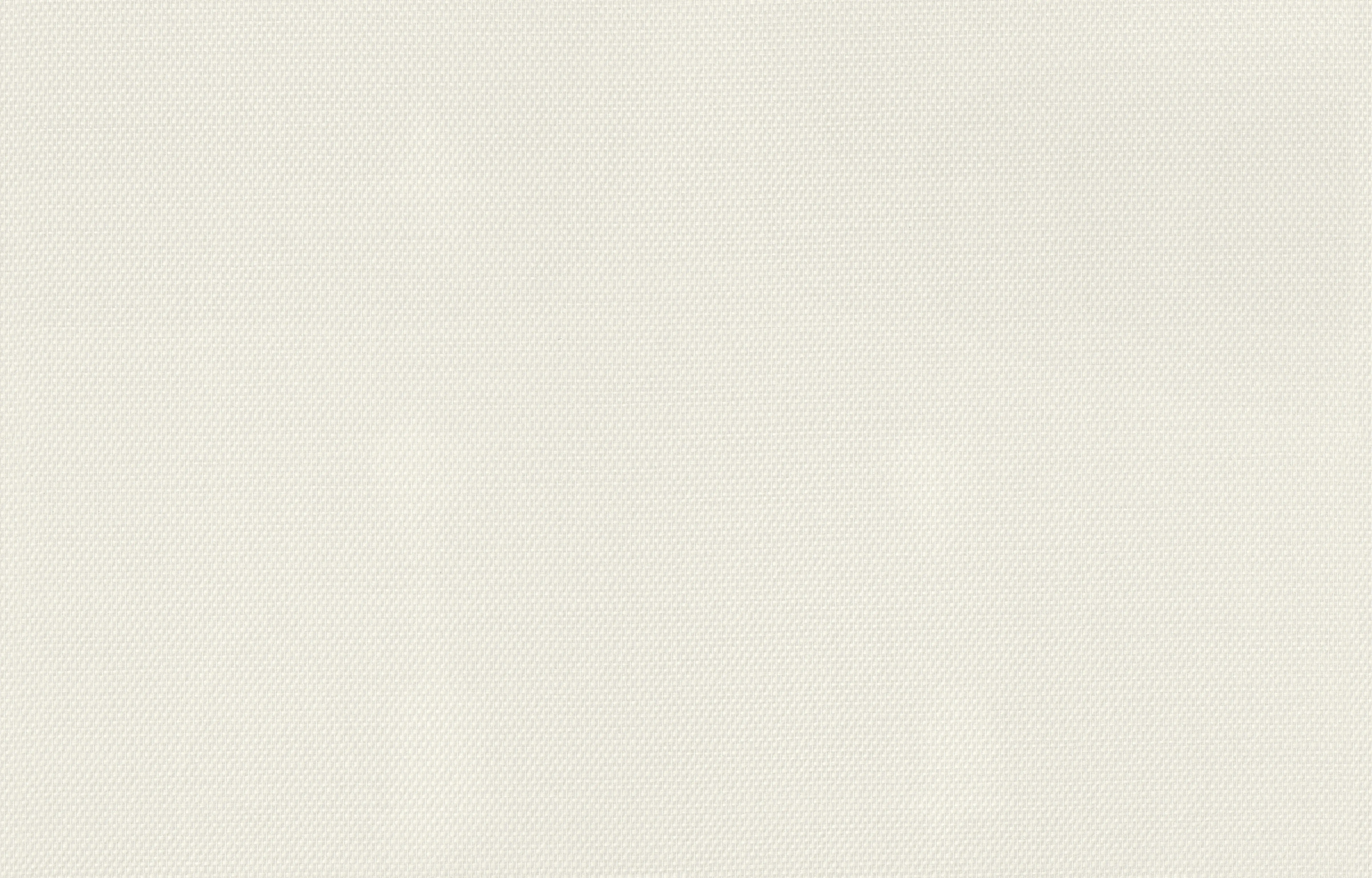 Rasch Glasfasertapete 028538 basic 25 x 1 m 