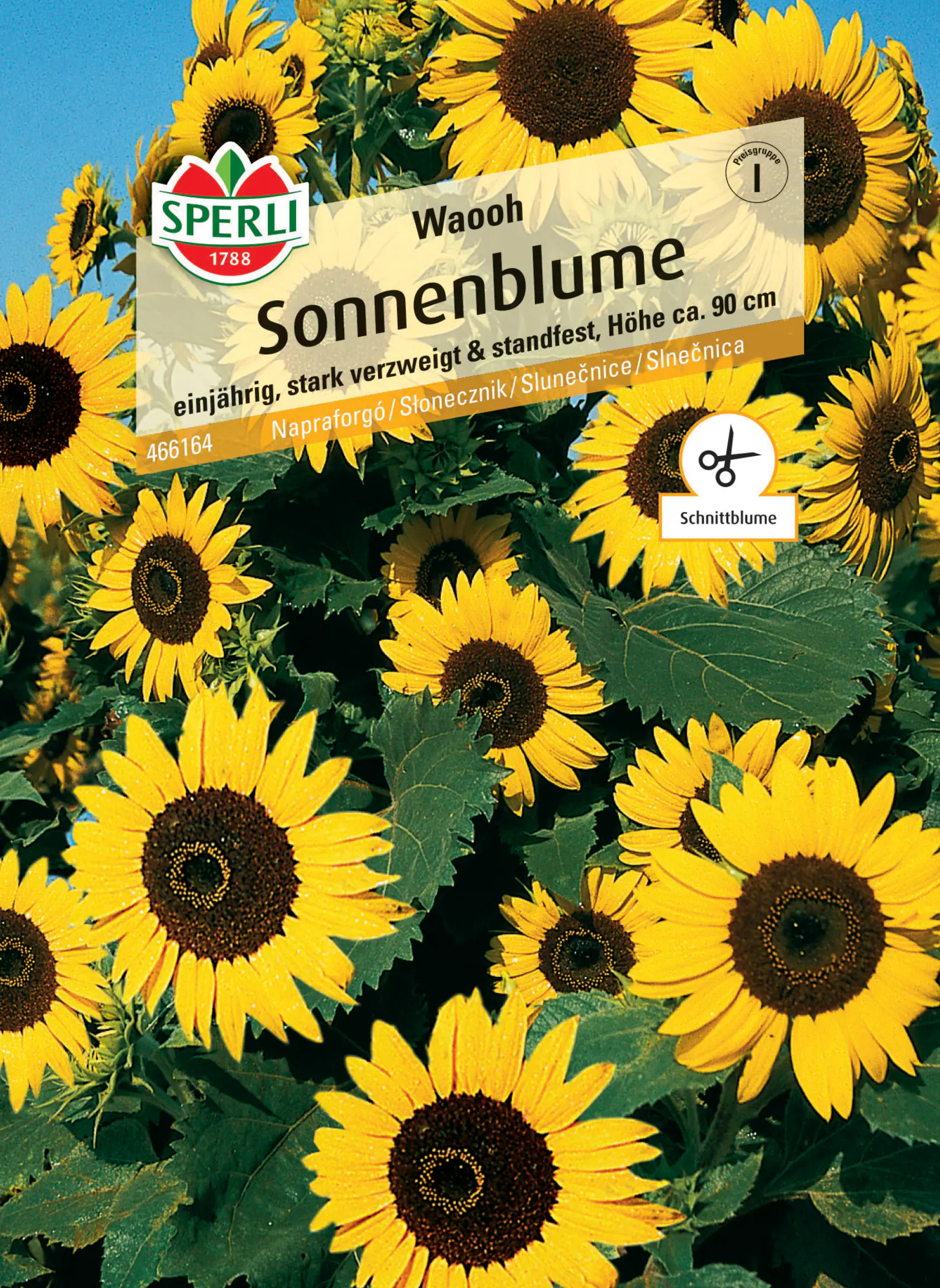 Sperli Sonnenblume Waooh